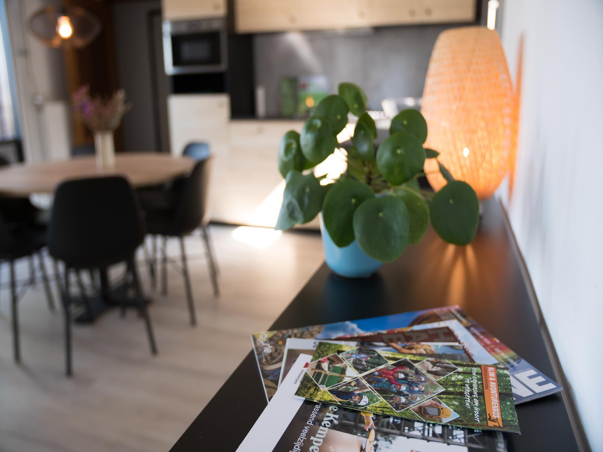 Luxe boslodge voor 4 in Ravels met tuin en zwemvijver - foto 10