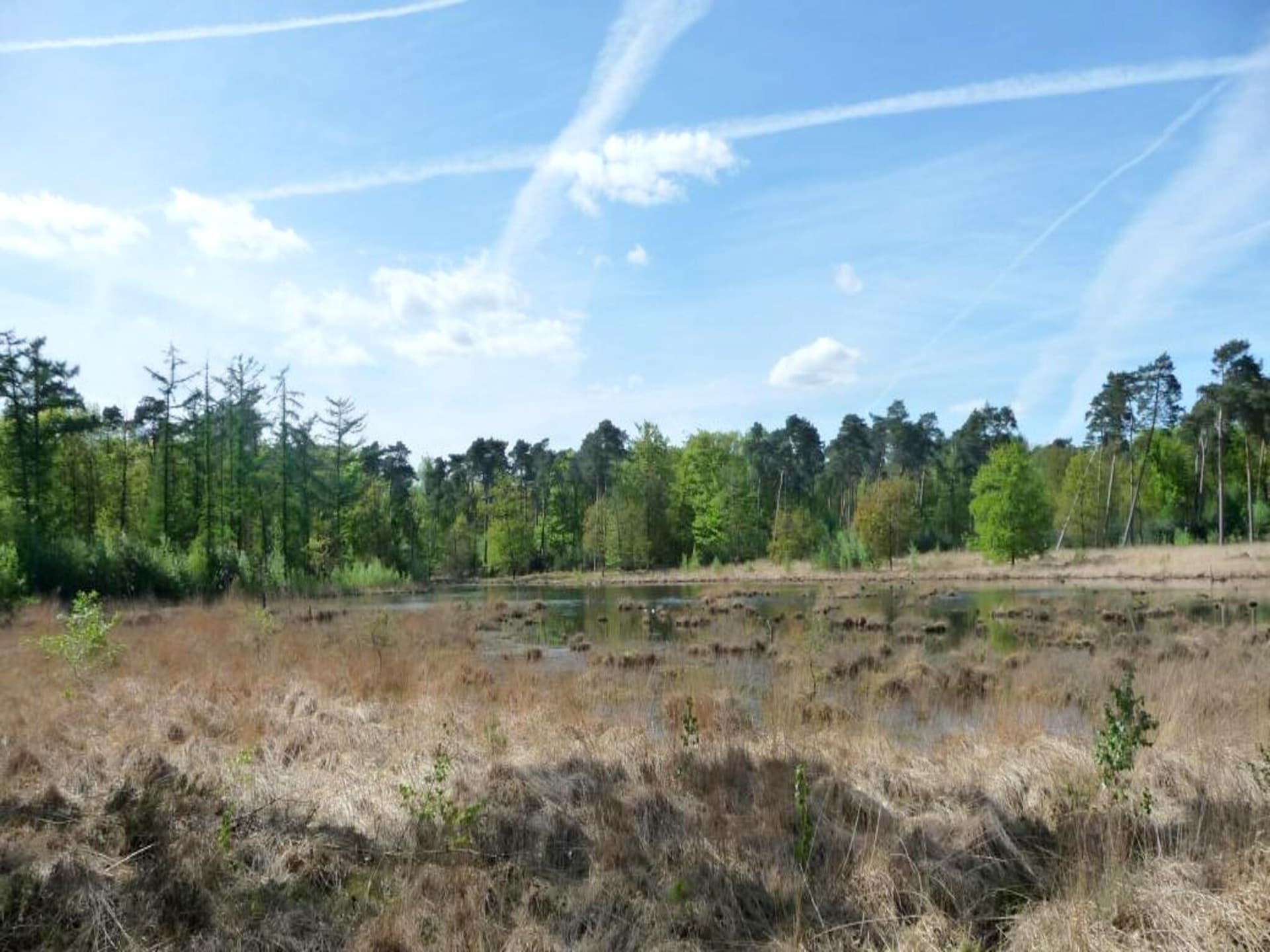 2-persoons Sun Lodge met parkzicht in Ravels - foto 27