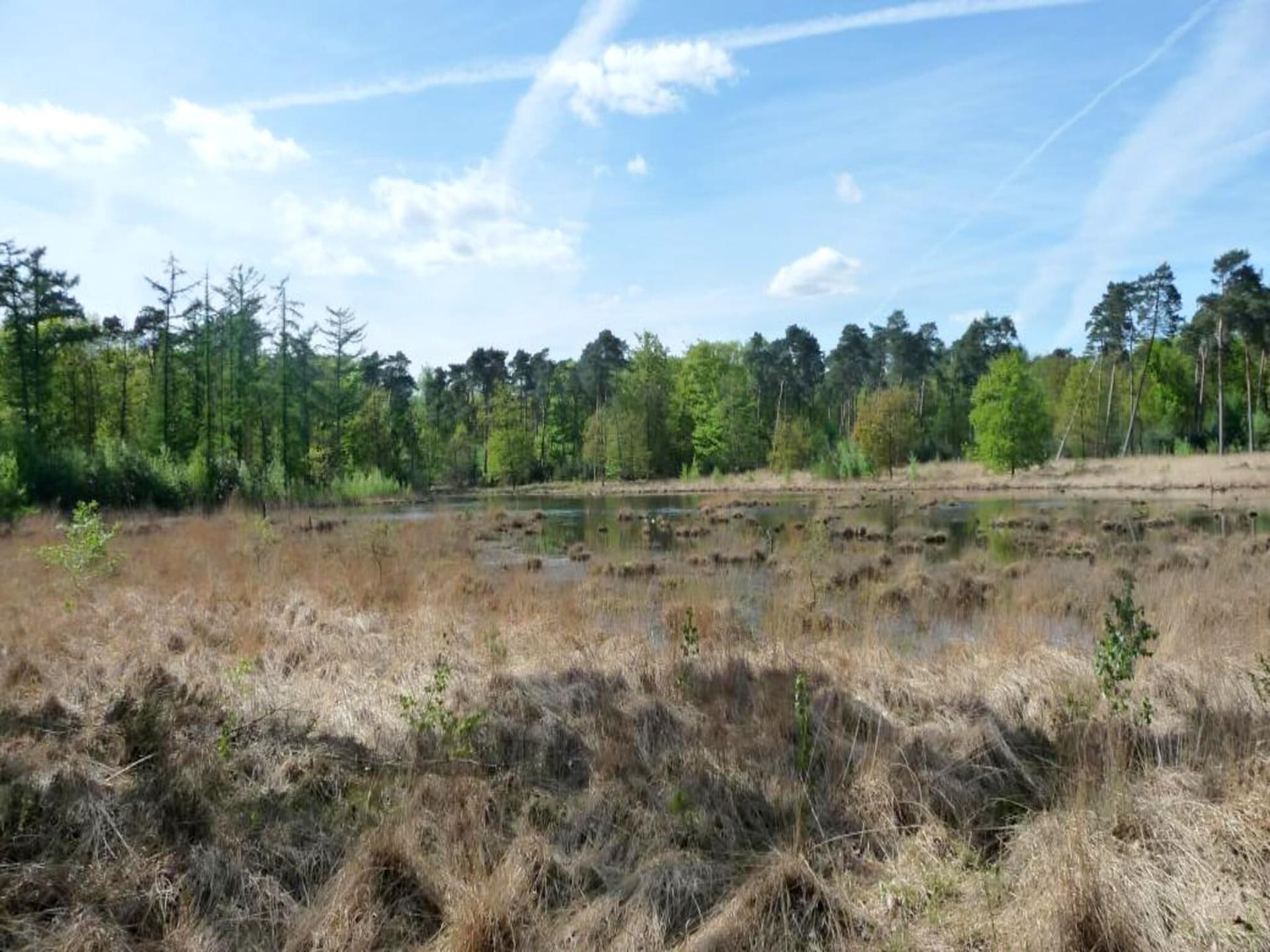 2-persoons Sun Lodge met parkzicht in Ravels - foto 29