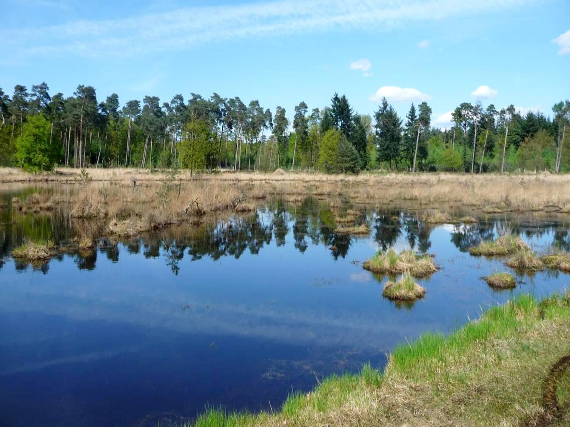 2-persoons Sun Lodge met parkzicht in Ravels - foto 25