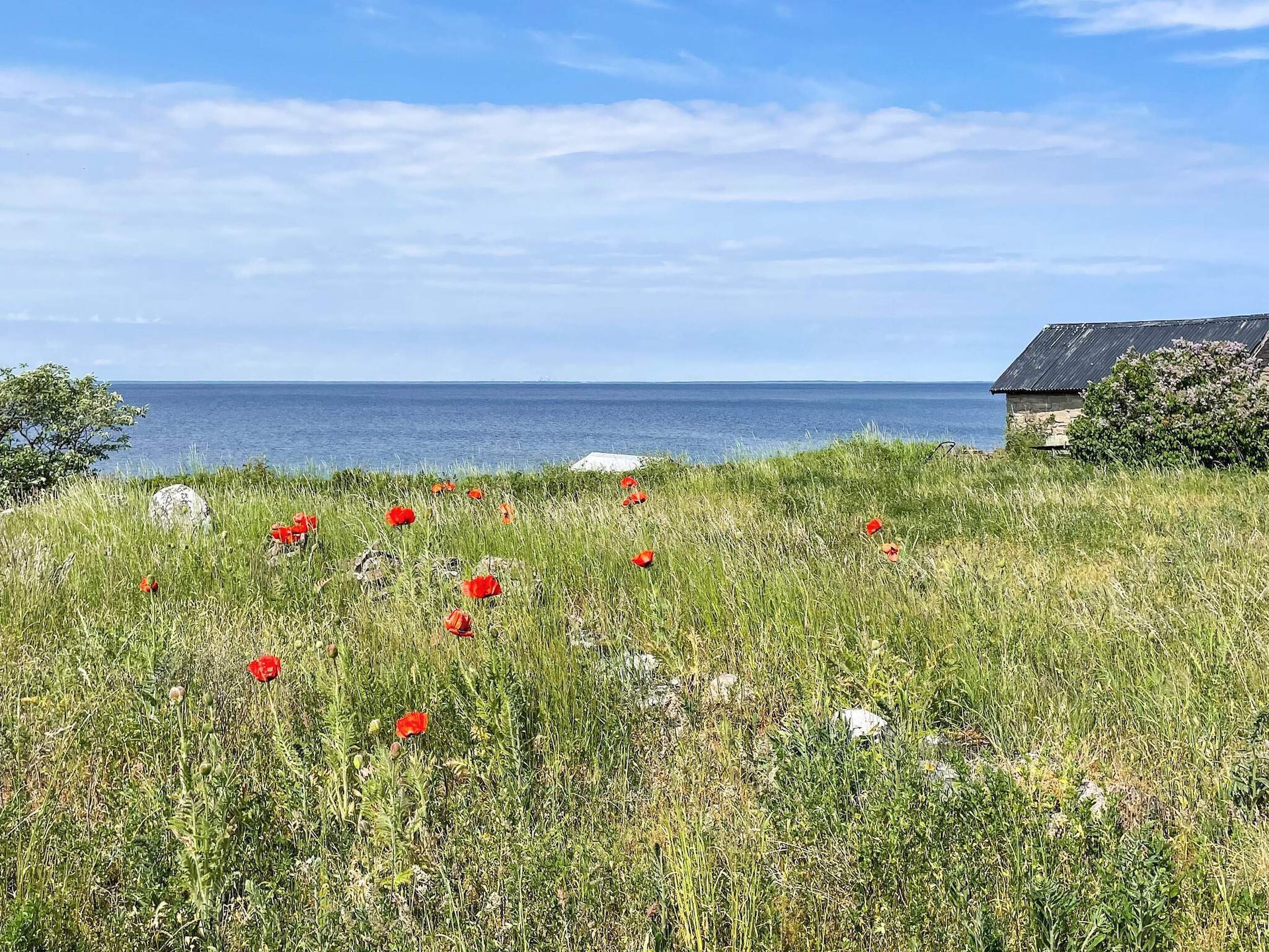 Op 1,0 km van zee: sfeervol vakantiehuis in Löttorp voor 6 personen - foto 28