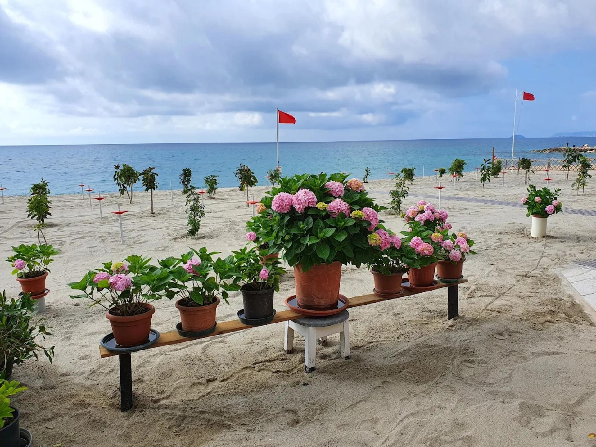 Knus appartement op 150m van strand met zwembad in Pietra Ligure - foto 19