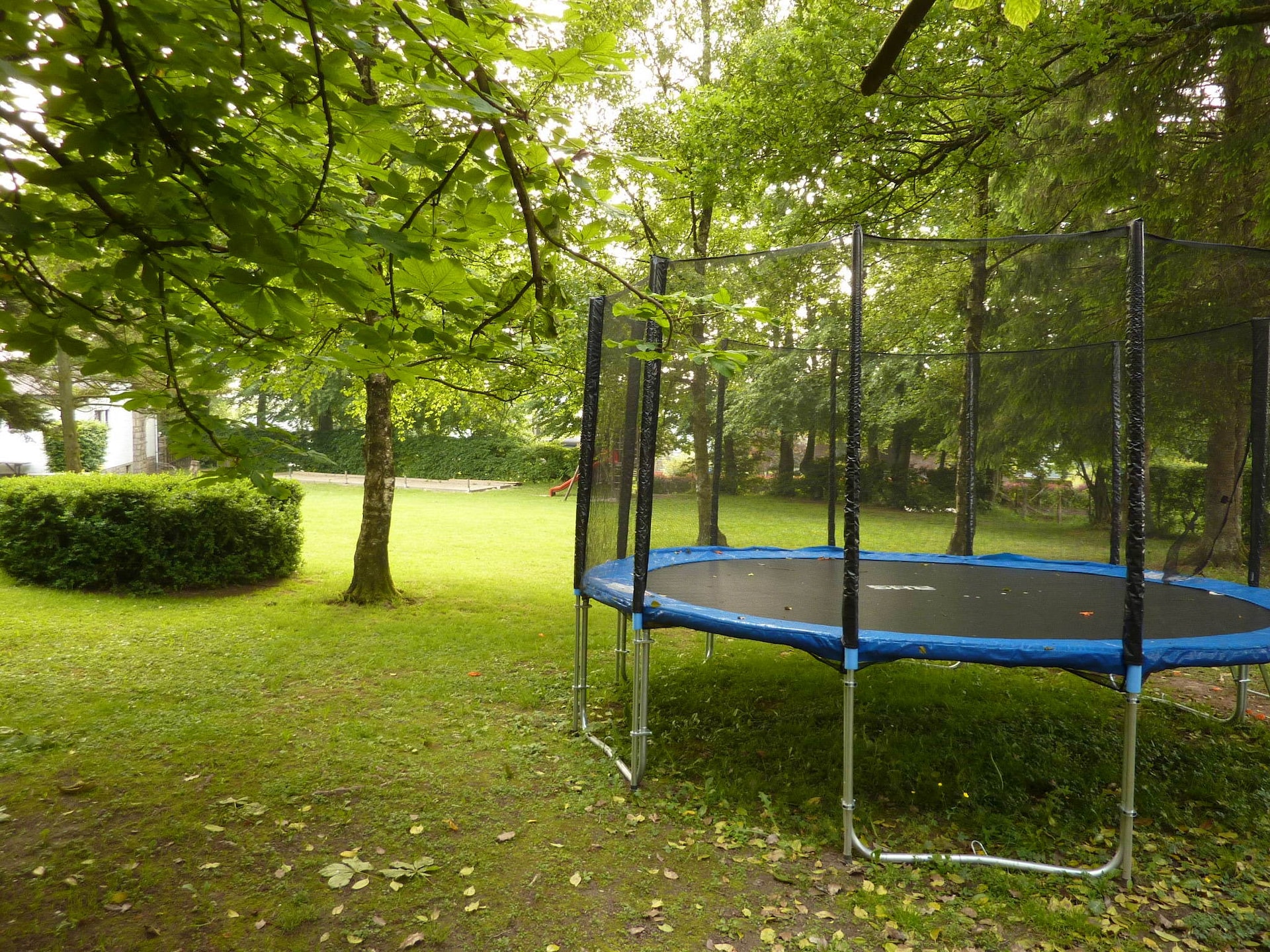 Op 1 km van het meer: 36-persoons vakantiehuis in Waimes - Ovifat - foto 27