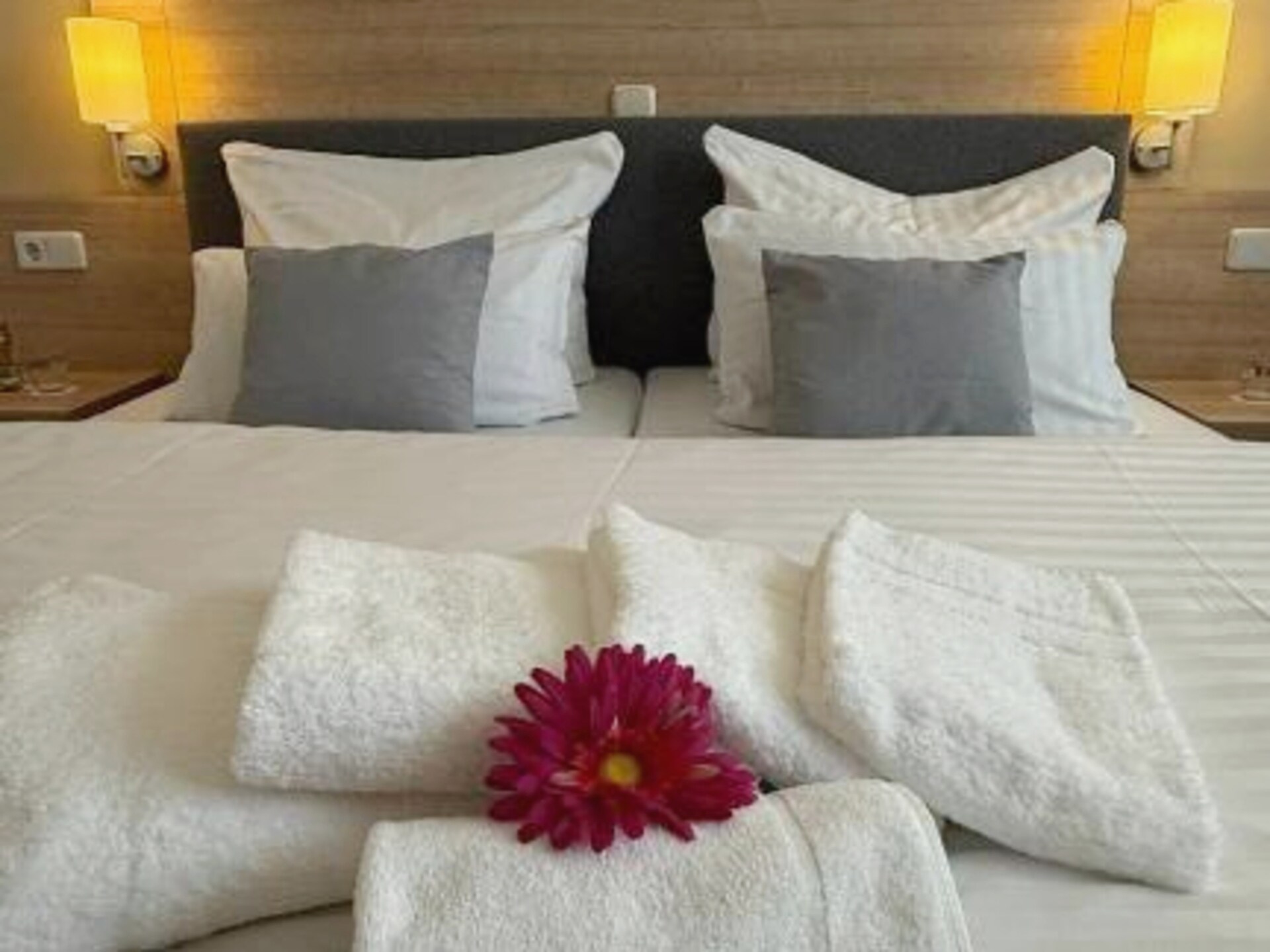 Knusse hotelkamer aan de Feldberger See met tuin en terras - foto 10
