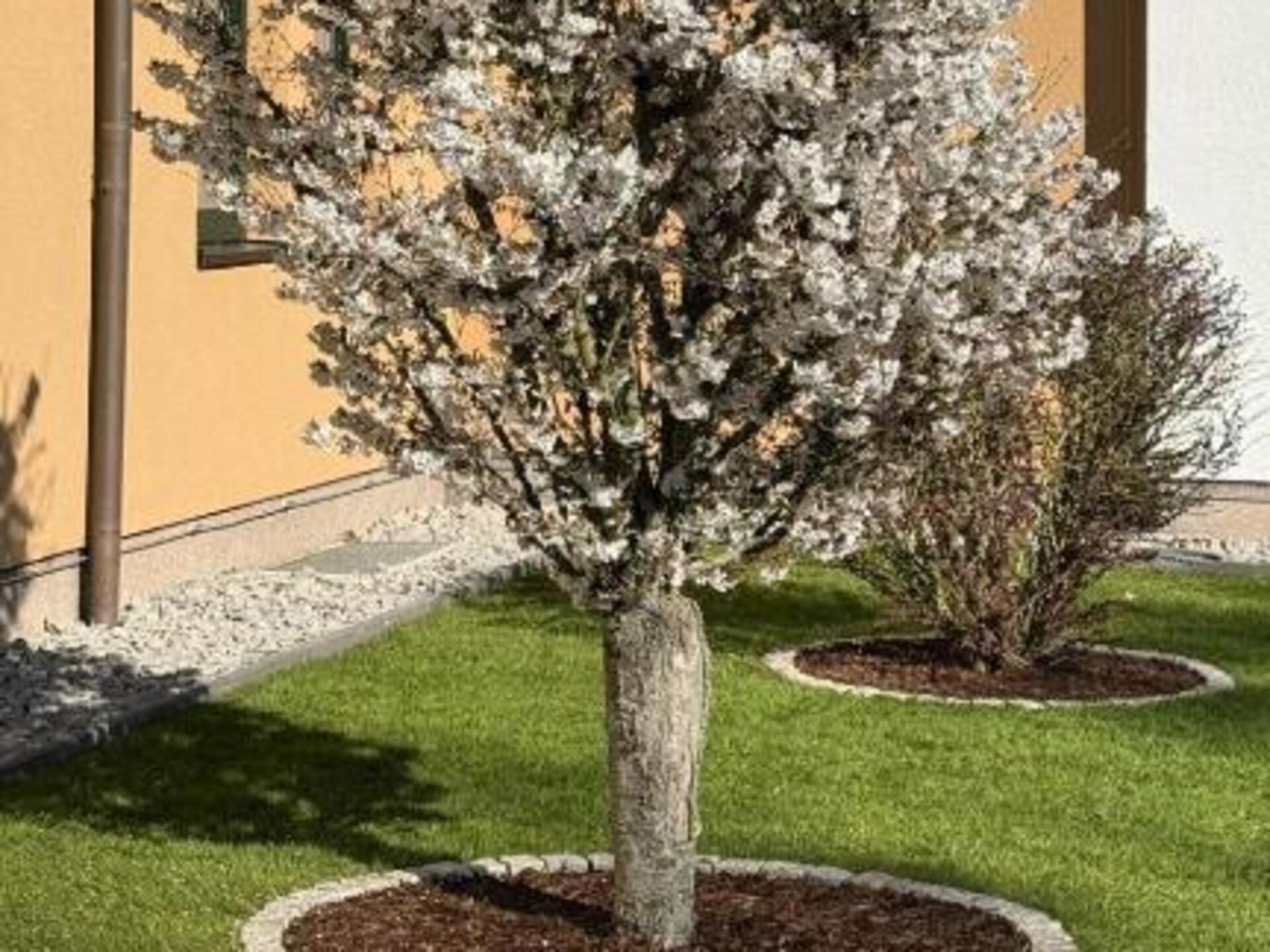 Rolstoeltoegankelijk appartement in Feldberger Seenlandschaft - foto 17