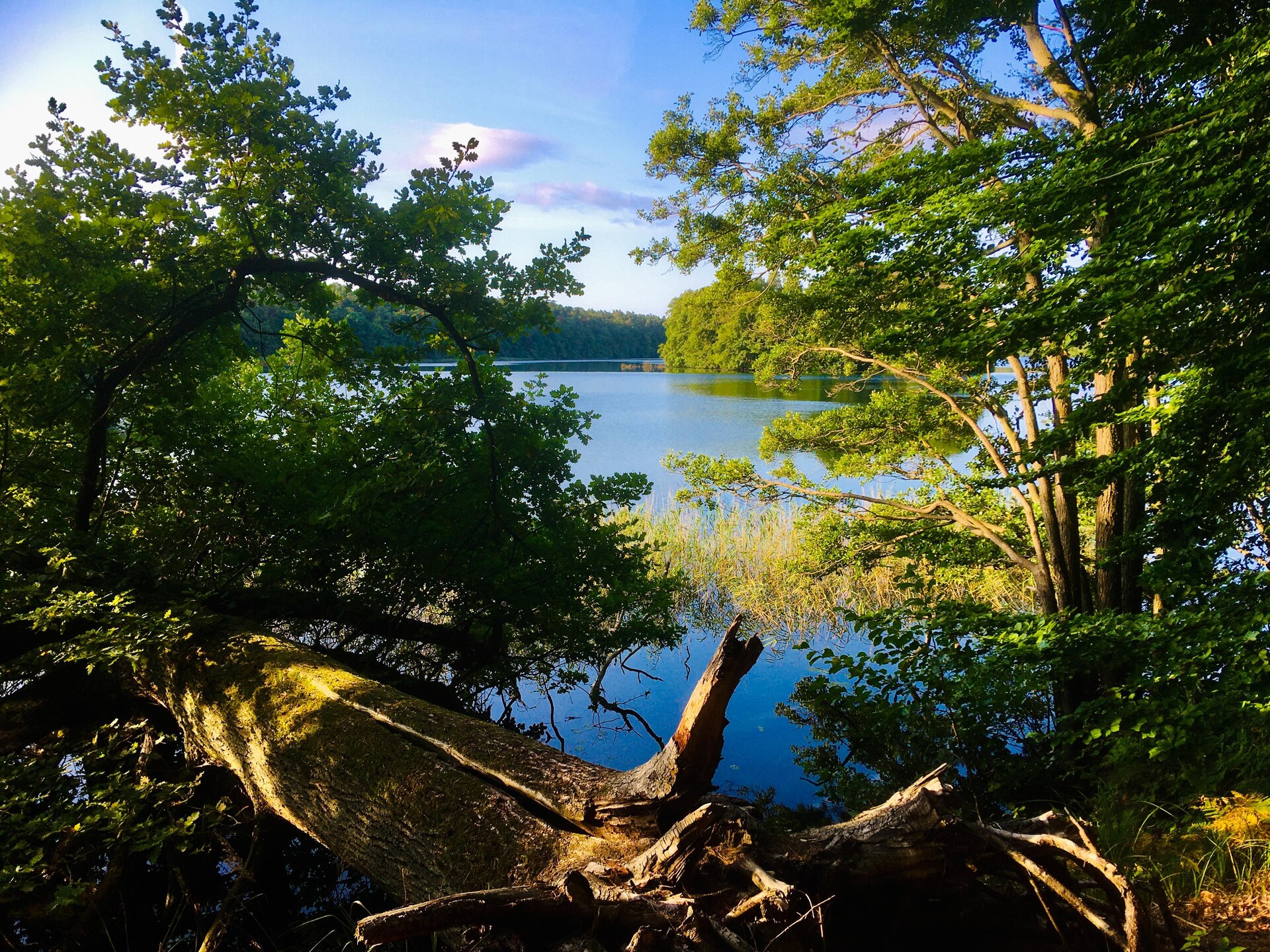 Rolstoeltoegankelijk appartement in Feldberger Seenlandschaft - foto 33