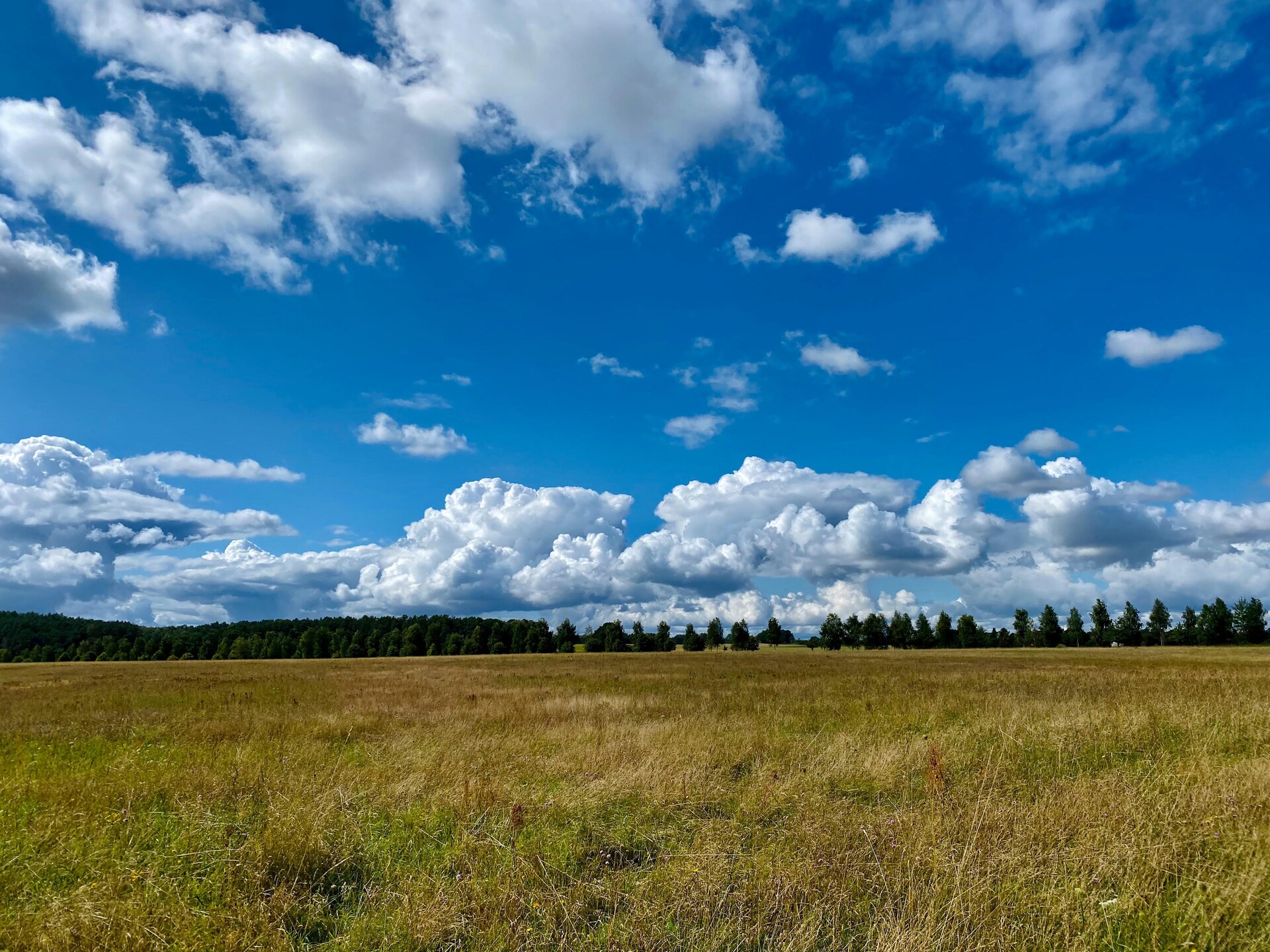Rolstoeltoegankelijk appartement in Feldberger Seenlandschaft - foto 35