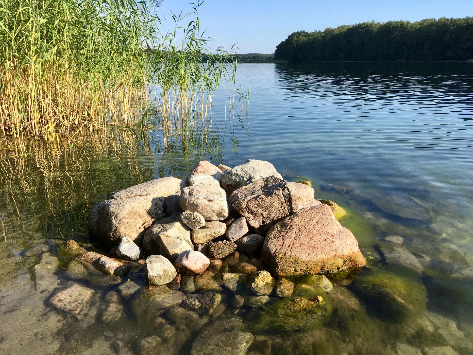 Rolstoeltoegankelijk appartement in Feldberger Seenlandschaft - foto 27
