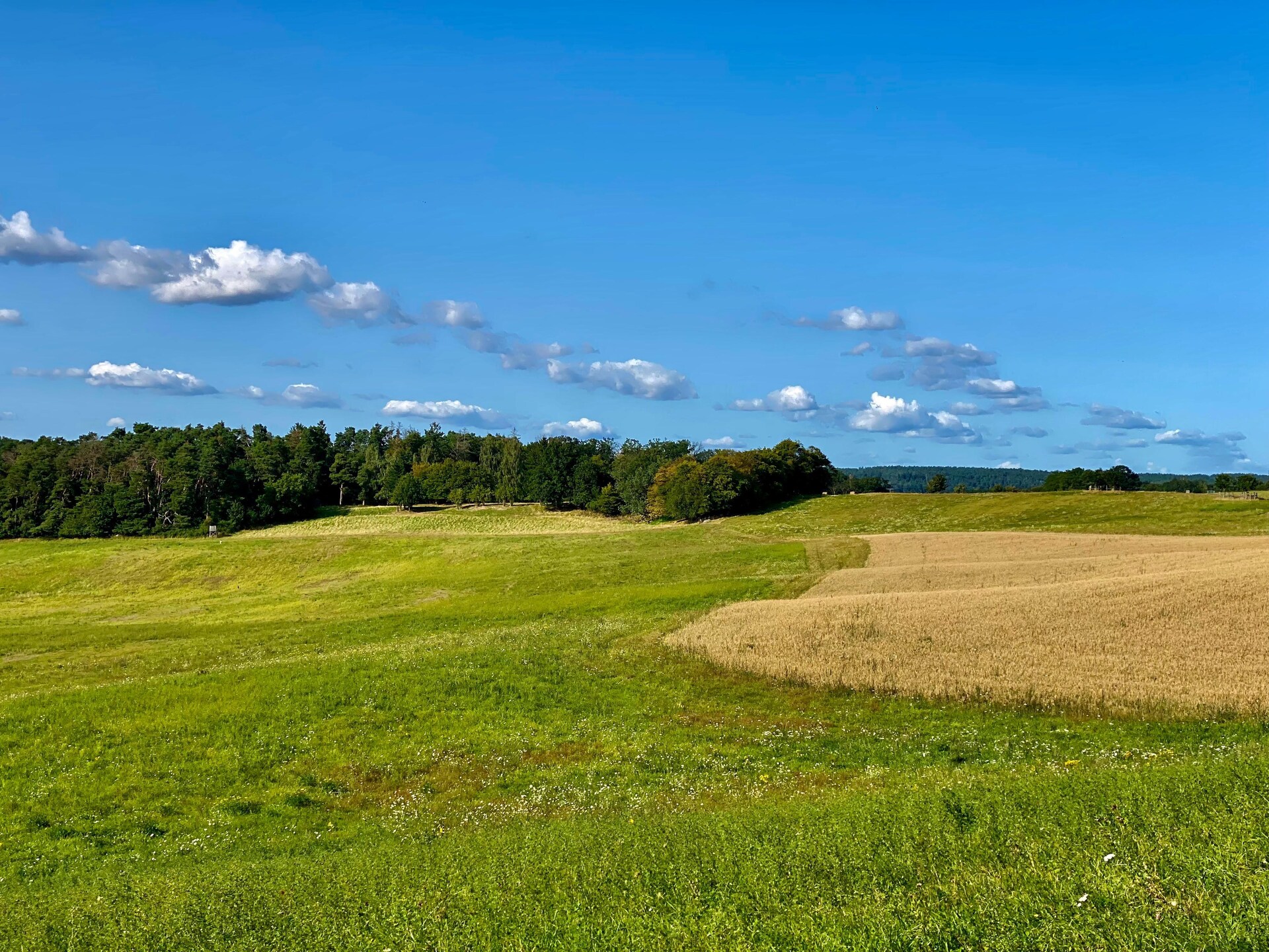 Rolstoeltoegankelijk appartement in Feldberger Seenlandschaft - foto 29