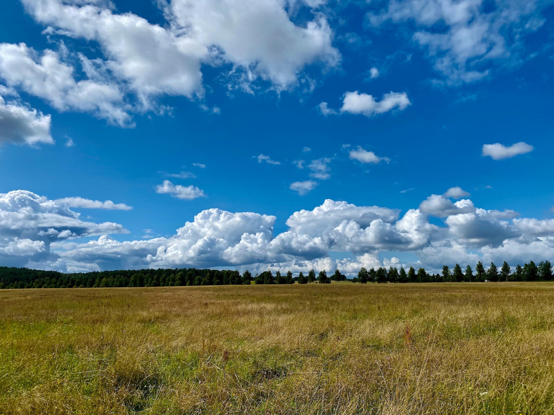 Rustgevend appartement voor één persoon in Feldberger Seenlandschaft - foto 33