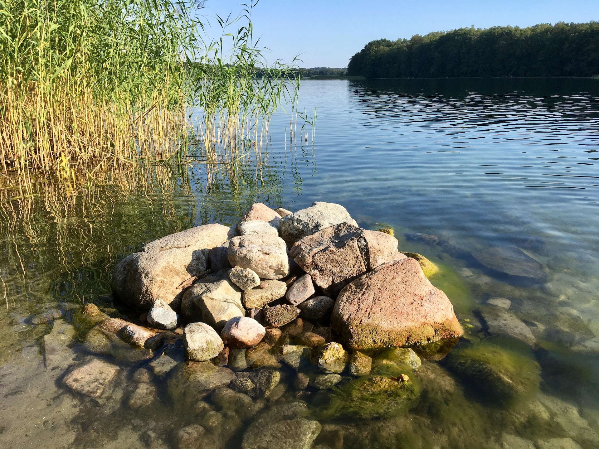 Rustgevend appartement voor één persoon in Feldberger Seenlandschaft - foto 34