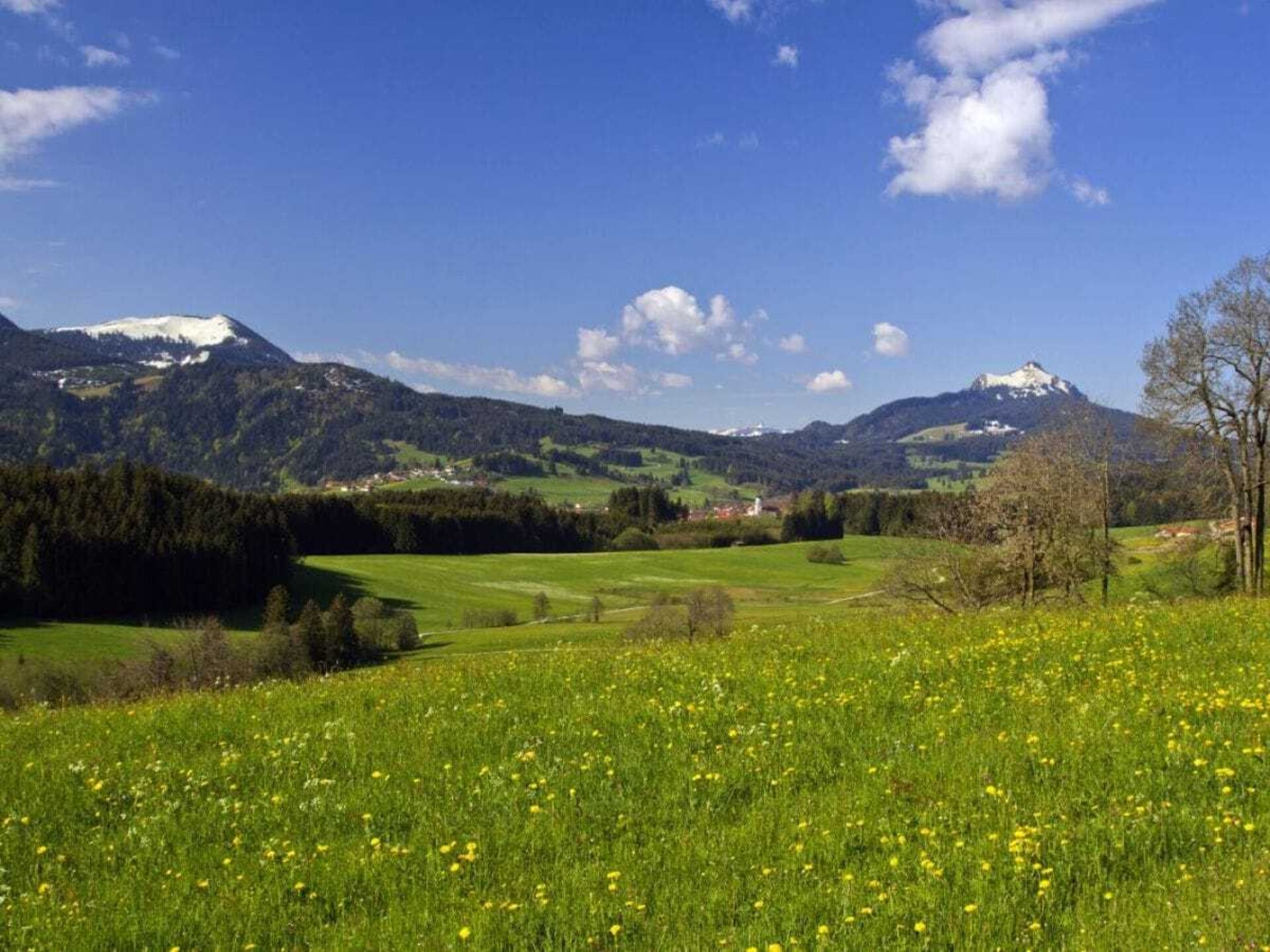 Romantisch vakantiehuis in Wertach met panoramisch uitzicht op het Allgäugebergte - foto 4