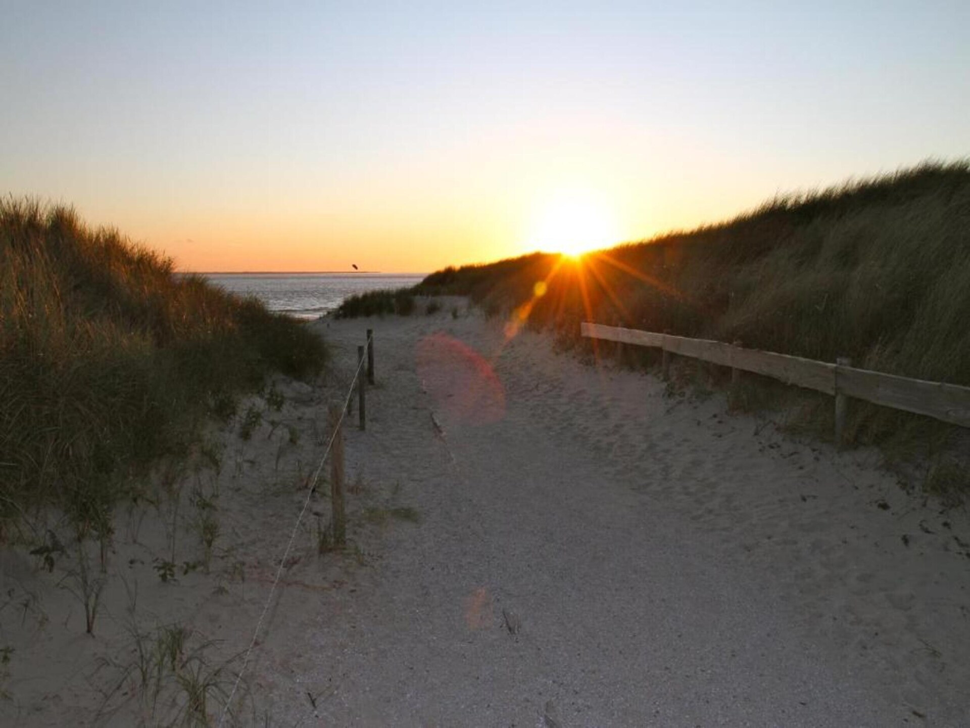 Duinchalet met vrij uitzicht op golfbaan en duinen bij Hollum, Ameland - foto 33