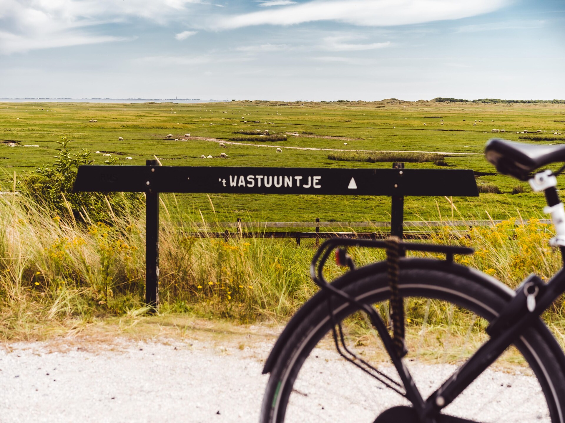 Duinchalet op Ameland: vrijstaand vakantiehuis tussen duinen, golfbaan en zee - foto 30