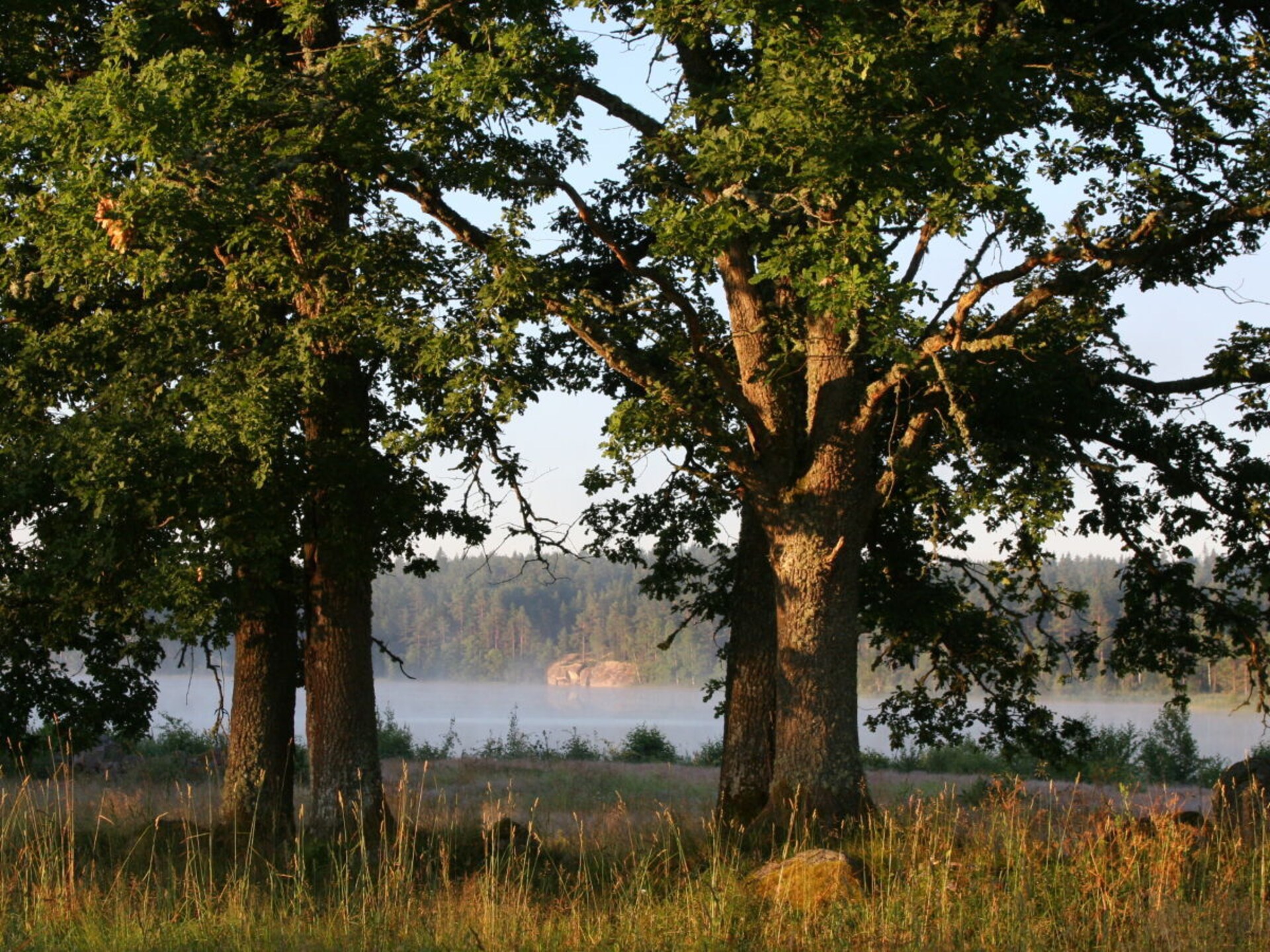 Ruim Zweeds vakantiehuis met sauna, speeltuin en bootjes aan het meer - foto 33