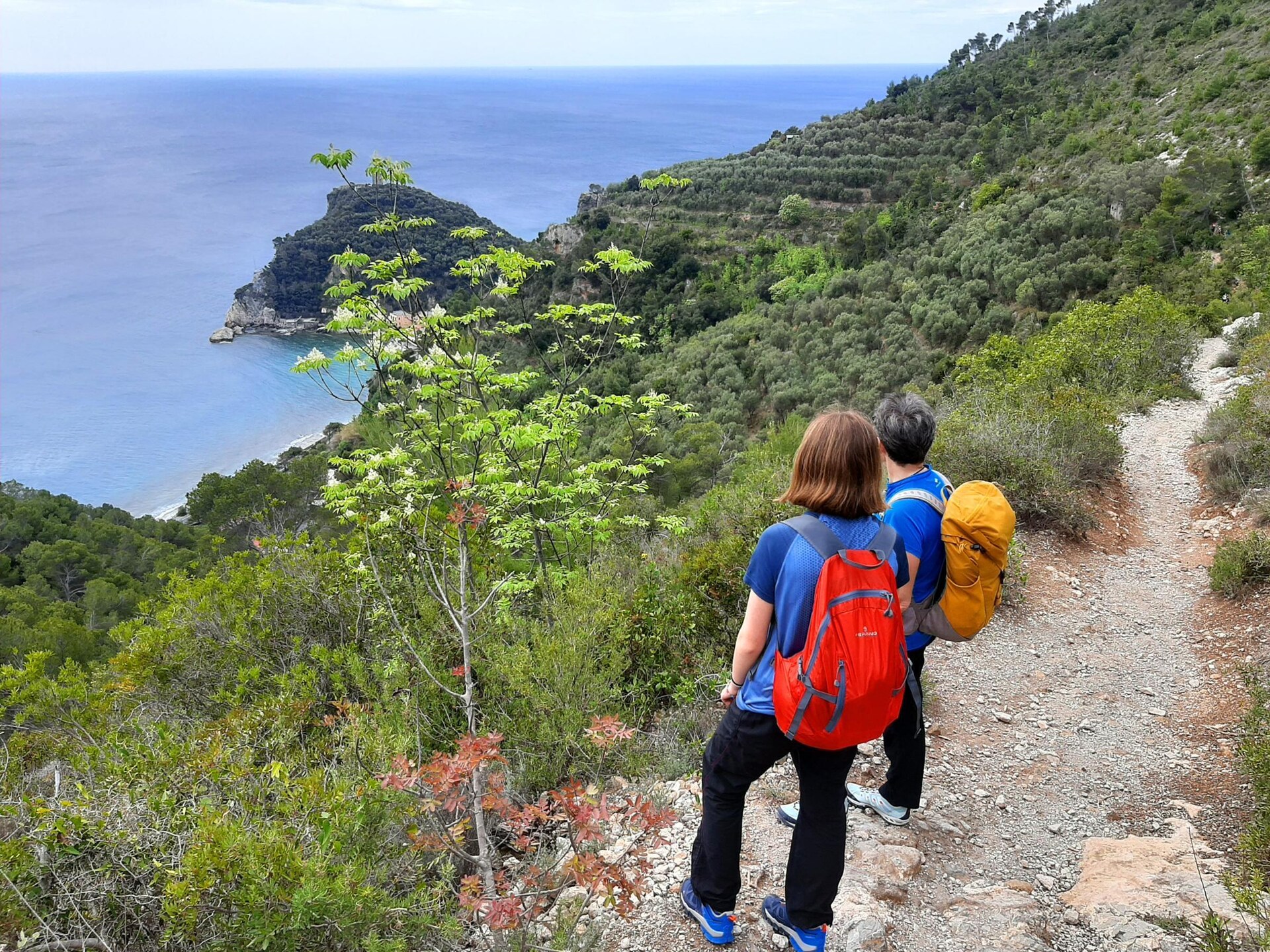 Casetta: knus houten bungalow in hart van Ligurische natuur - foto 34