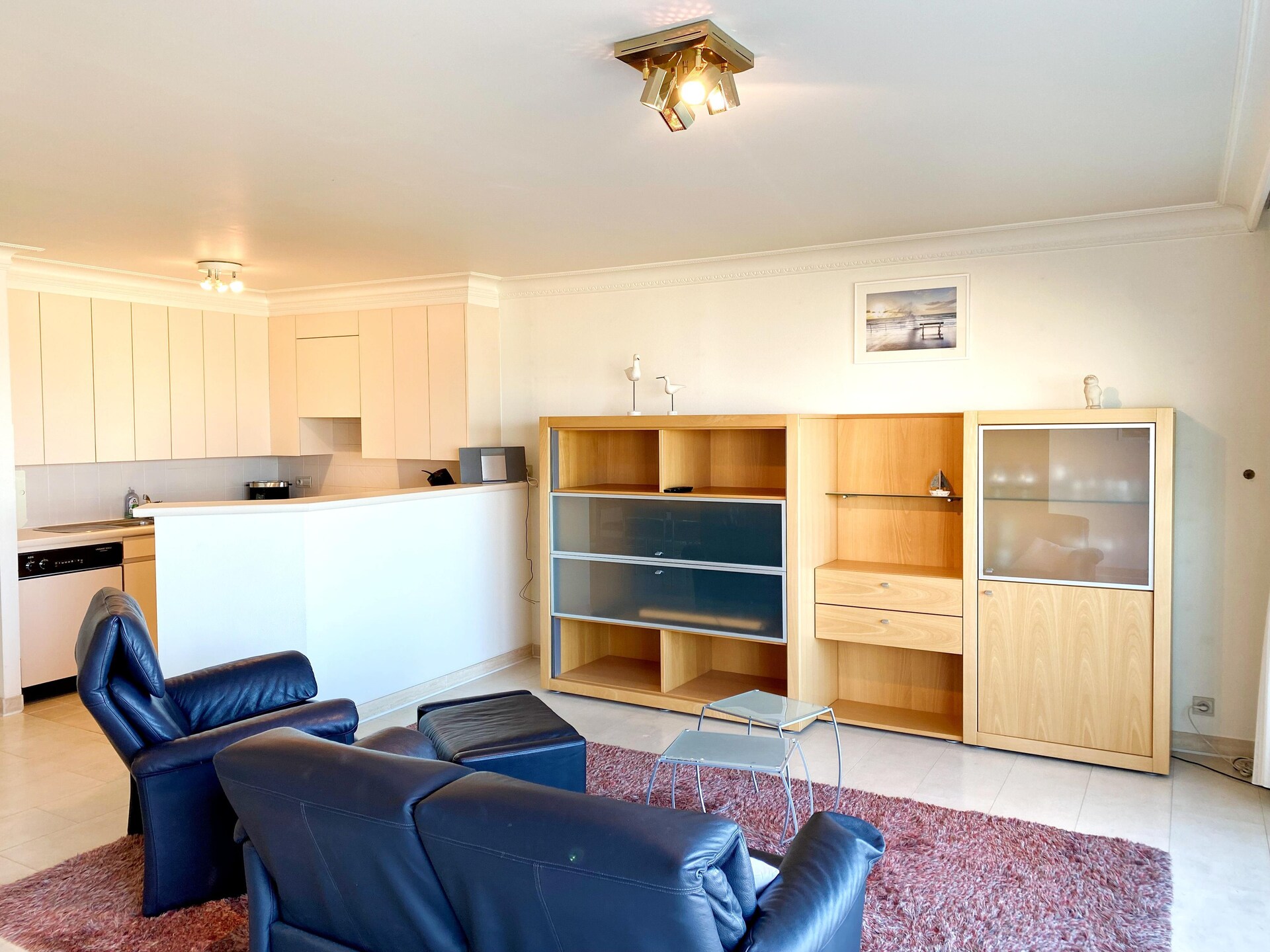Prachtig appartement met weids zeezicht op de Zeedijk van Nieuwpoort - foto 10