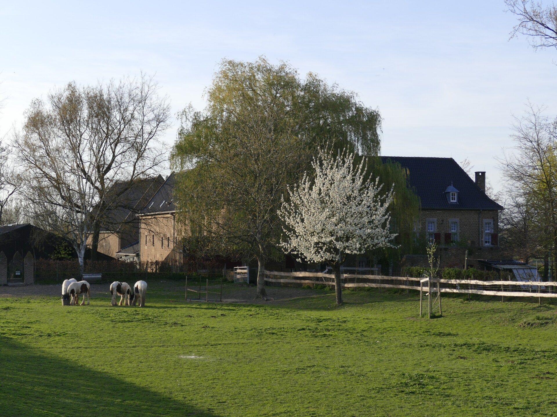 Meschermolen 14: Luxe vakantiehuis in bosrijk Zuid-Limburg voor 8 personen - foto 28
