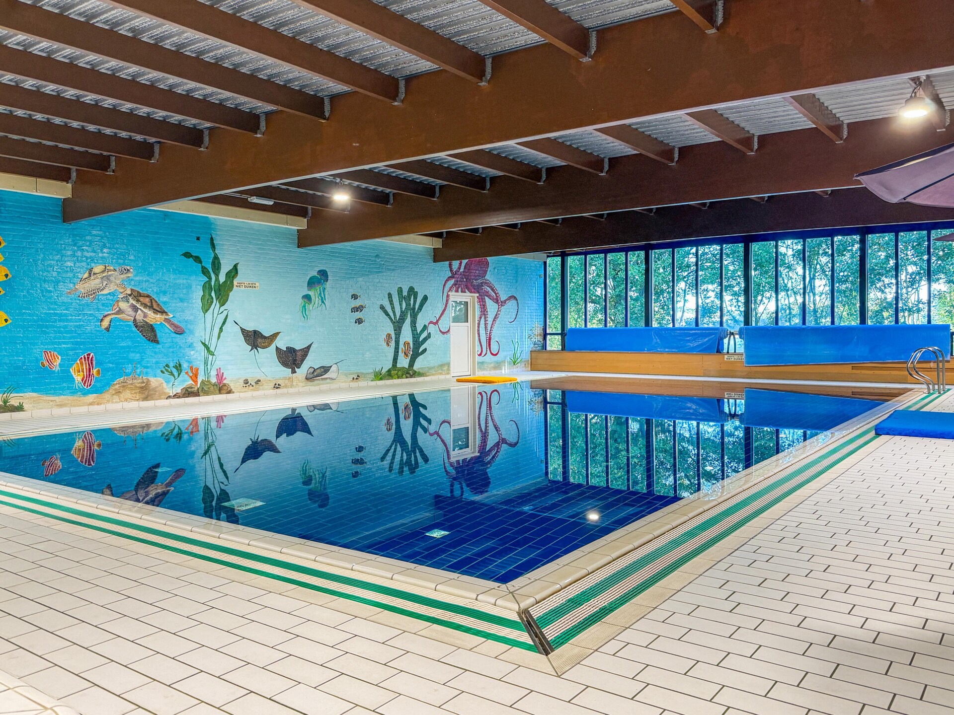 Vrijstaande bosbungalow voor 6 personen in het hart van het Land van Maas en Waal - foto 2