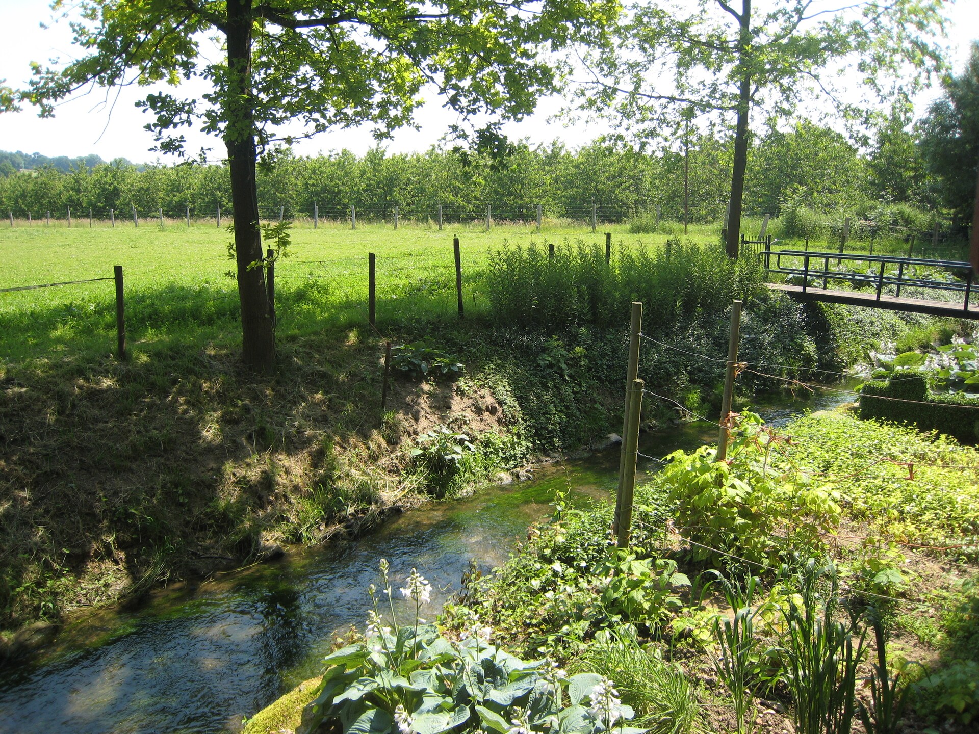 Meschermolen 5: Charmant appartement in het Limburgse heuvelland - foto 13