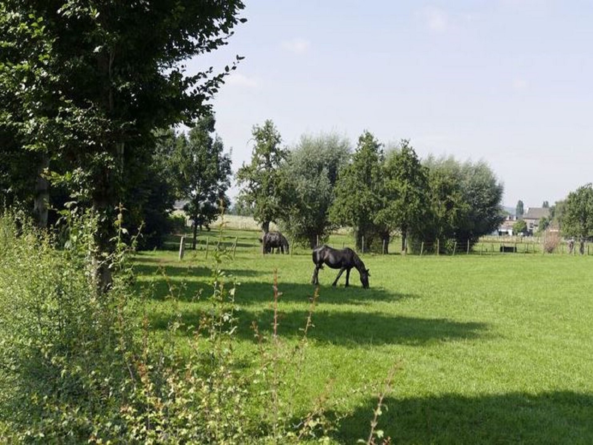 Meschermolen 5: Charmant appartement in het Limburgse heuvelland - foto 12