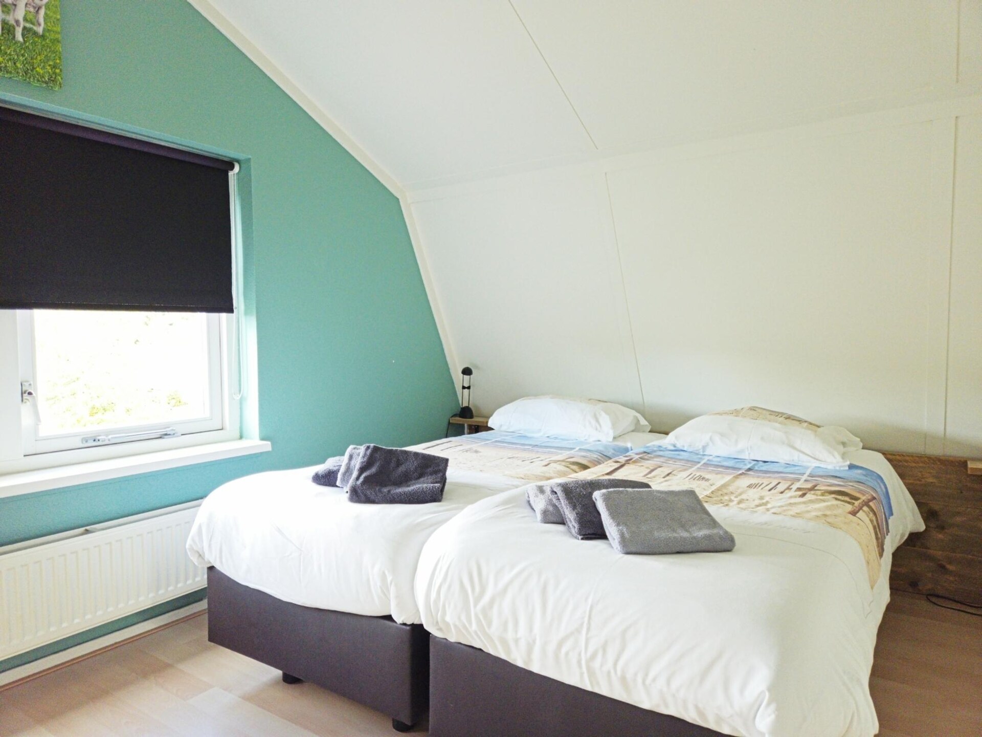 Vrijstaande huisdiervrije bungalow in Lappennest, tussen bos en zee - foto 3