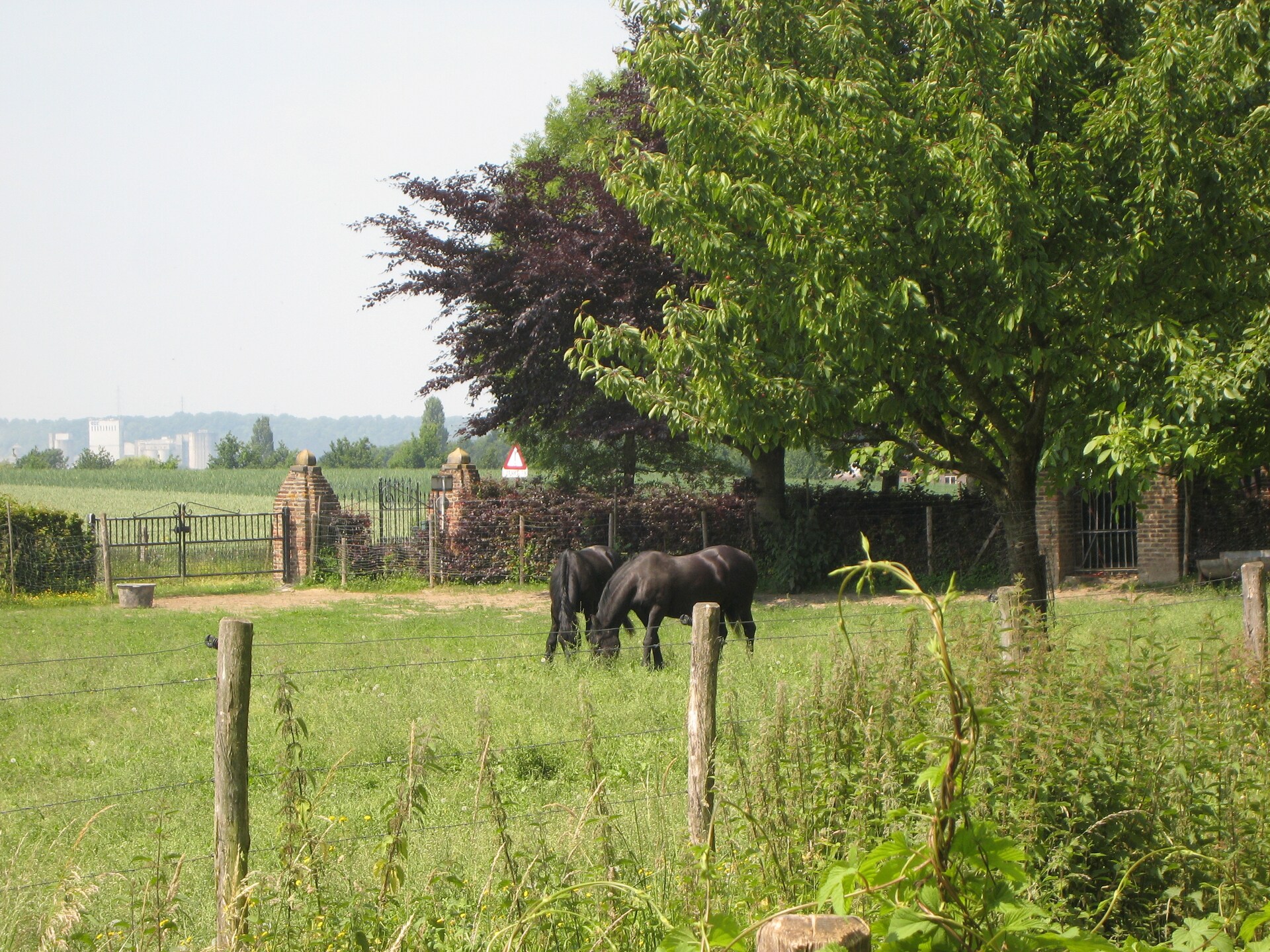 Vrijstaand vakantiehuis Mesch-Eijsden met tuin, bos en golfbaan - foto 28