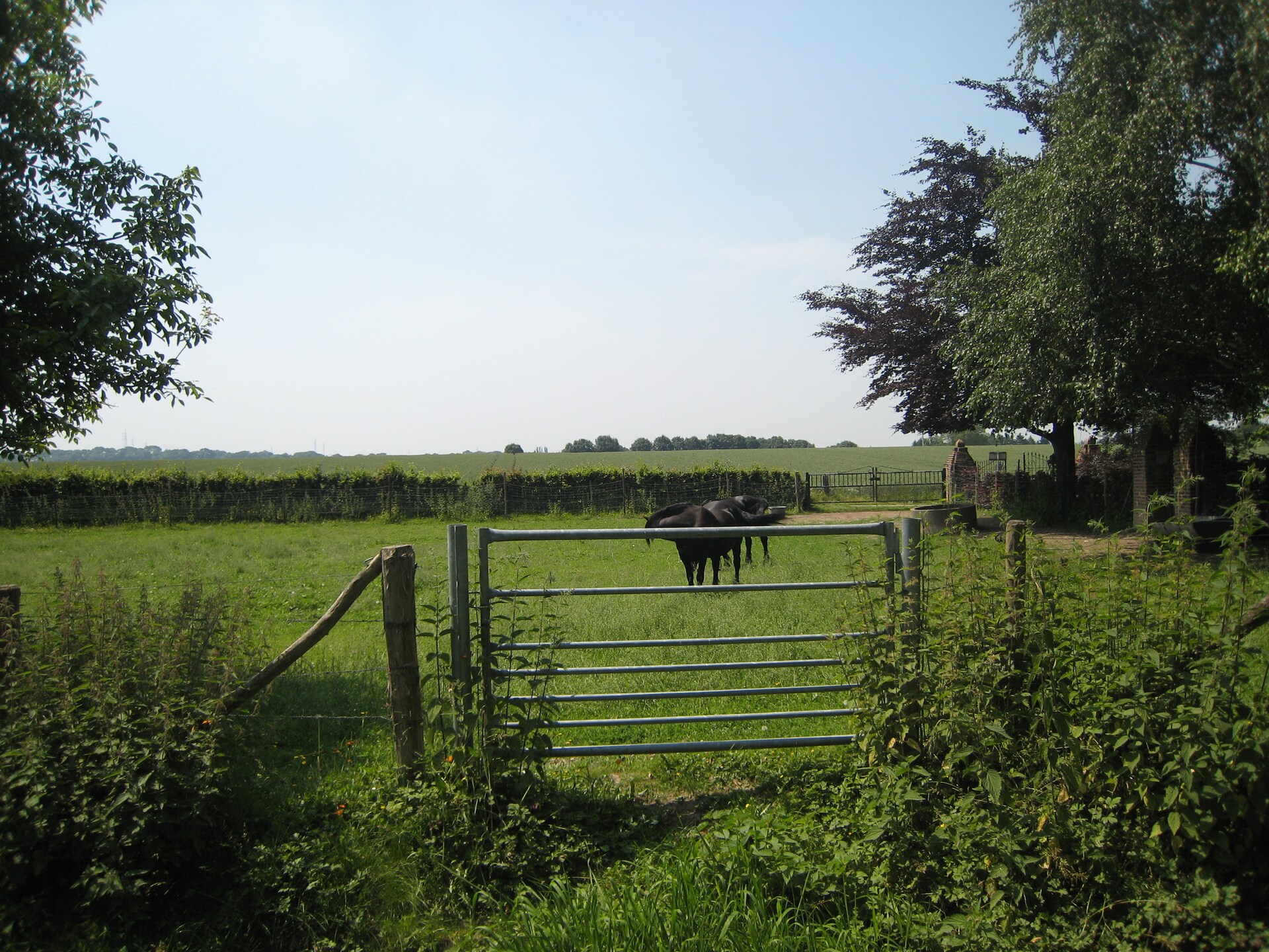 Vrijstaand vakantiehuis Mesch-Eijsden met tuin, bos en golfbaan - foto 27
