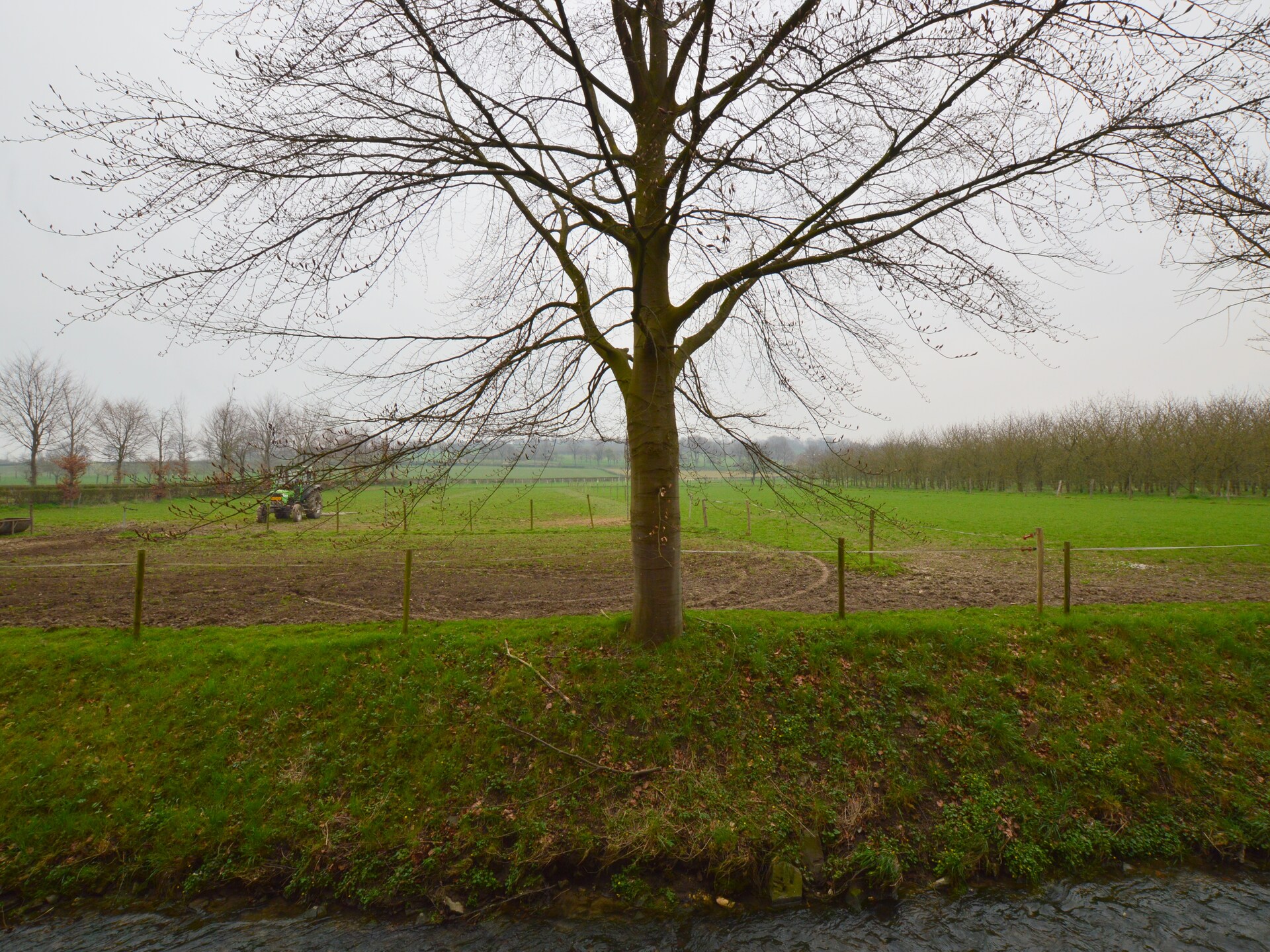 Vrijstaand vakantiehuis Mesch-Eijsden met tuin, bos en golfbaan - foto 29