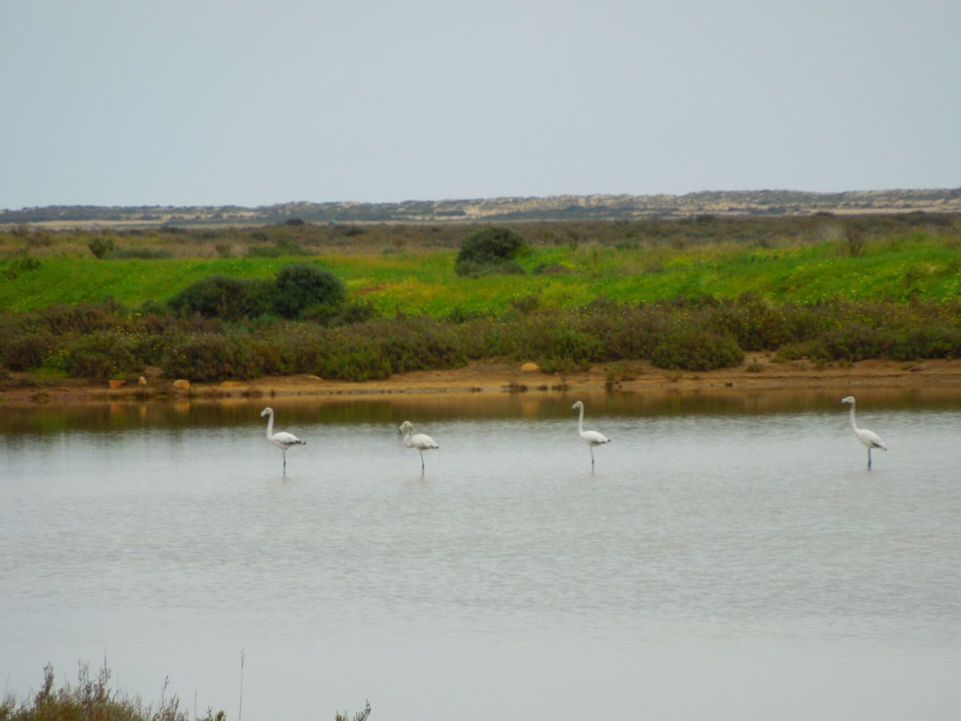 Duurzaam vakantiehuis met zeezicht bij Olhão, Algarve - foto 24