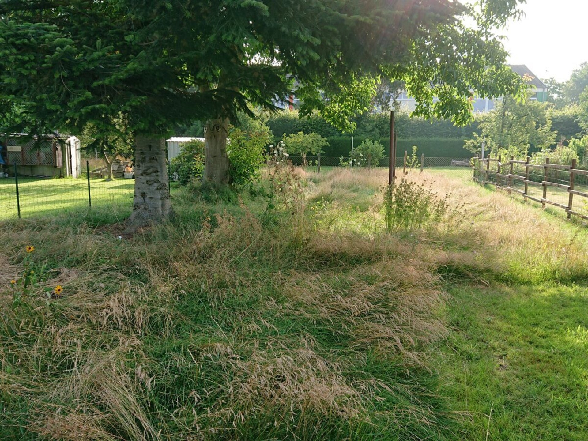 Ecovakantiehuis Ökohaus-Spaden: comfortabel genieten bij Bremerhaven - foto 6