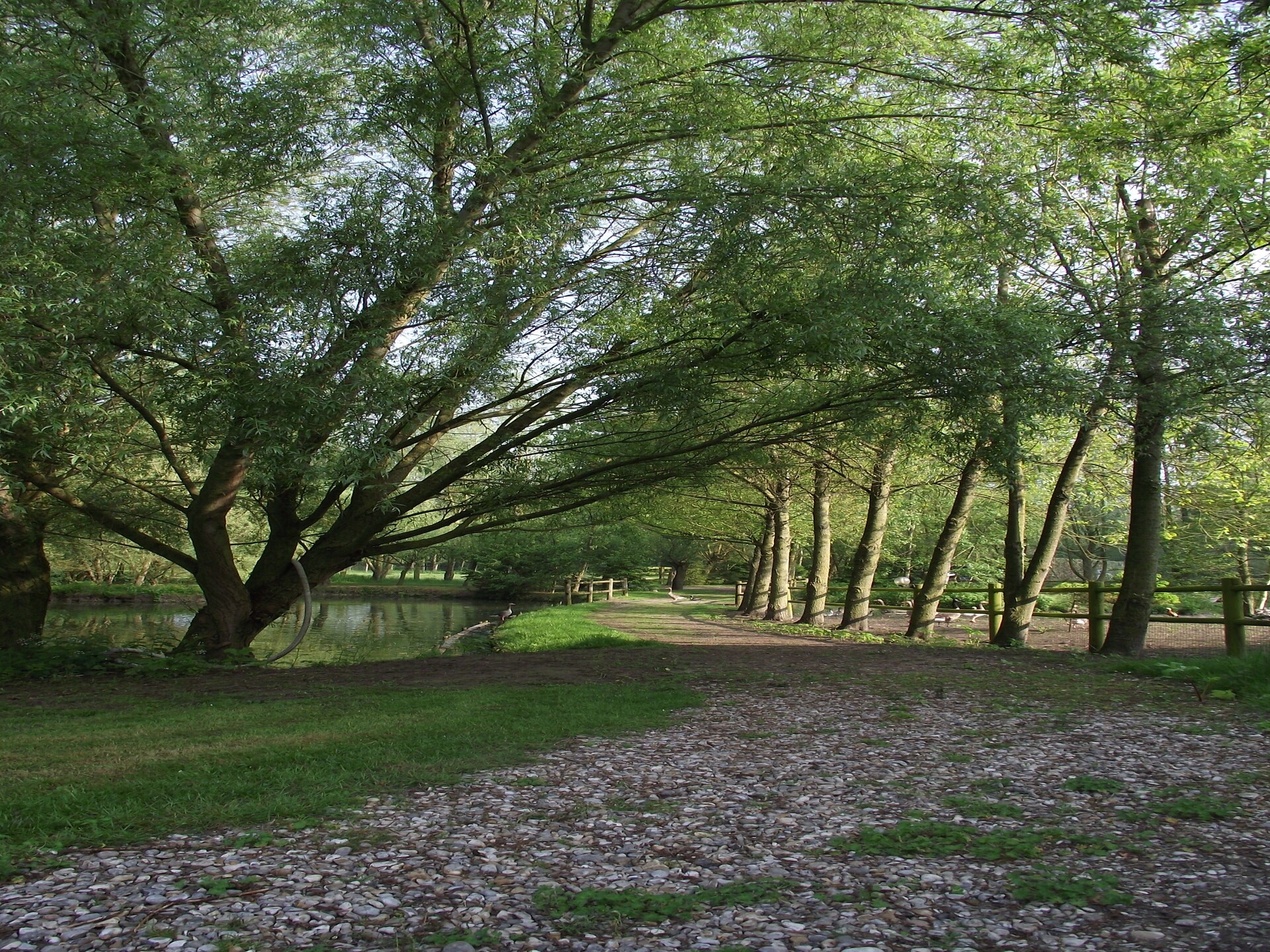 Vrijstaand vakantiehuis in het bos bij Quend-Plage, 5 km van zee - foto 9