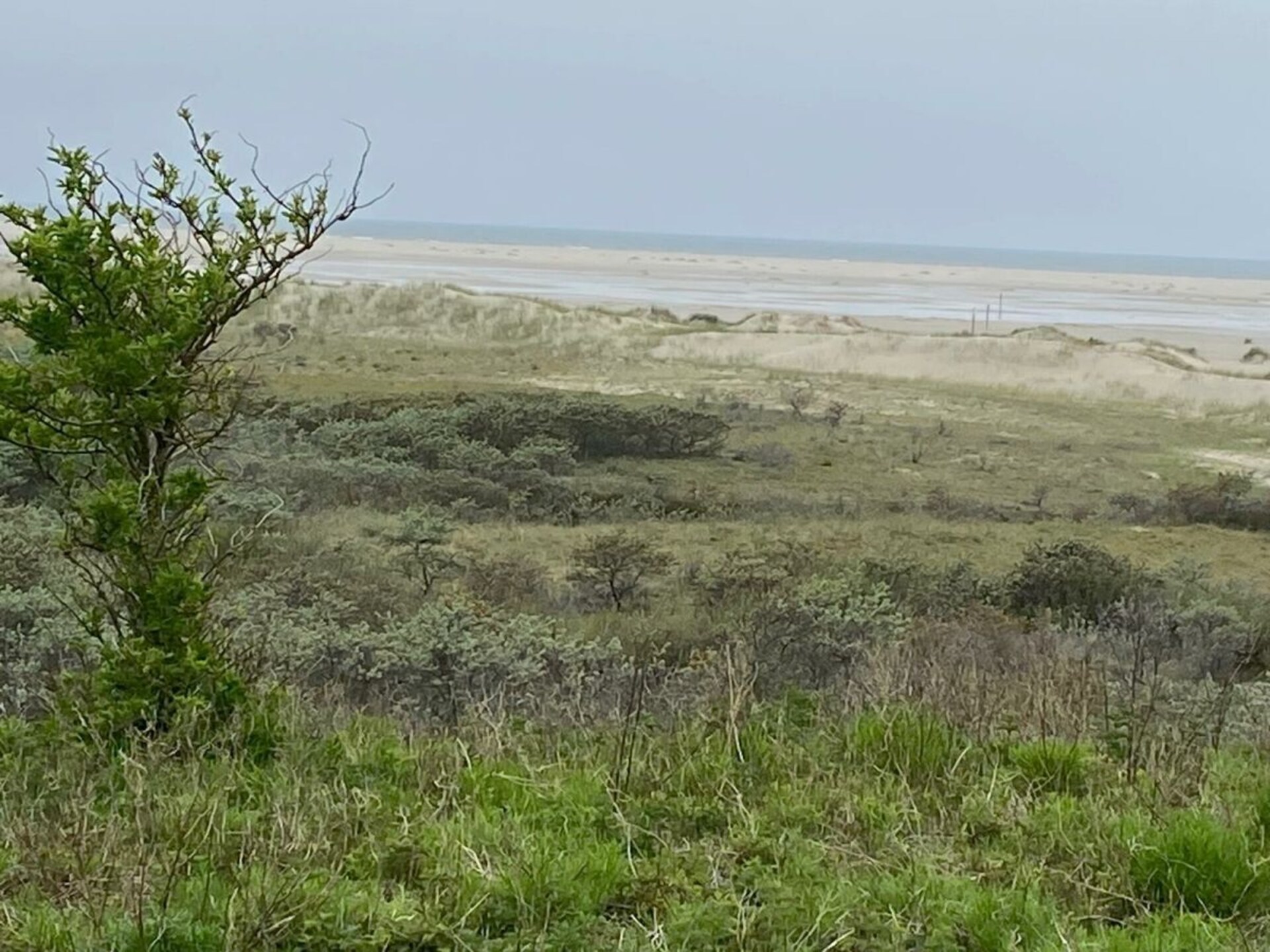 Appartement 63 met zeezicht en balkon direct aan het strand van Borkum - foto 31