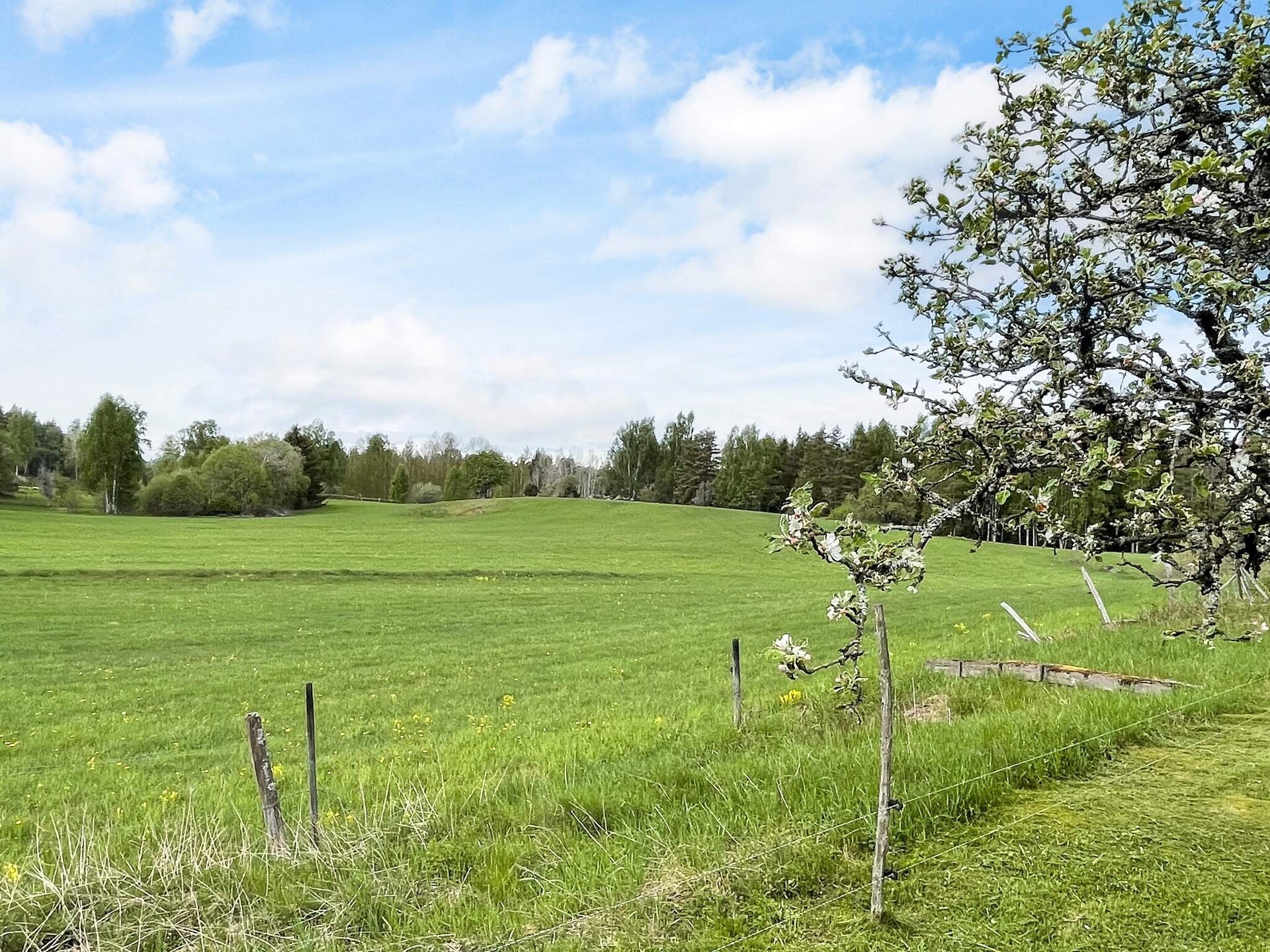 Zweeds vakantiehuis aan golfterrein met privé zwemsteiger op 360 meter - foto 21