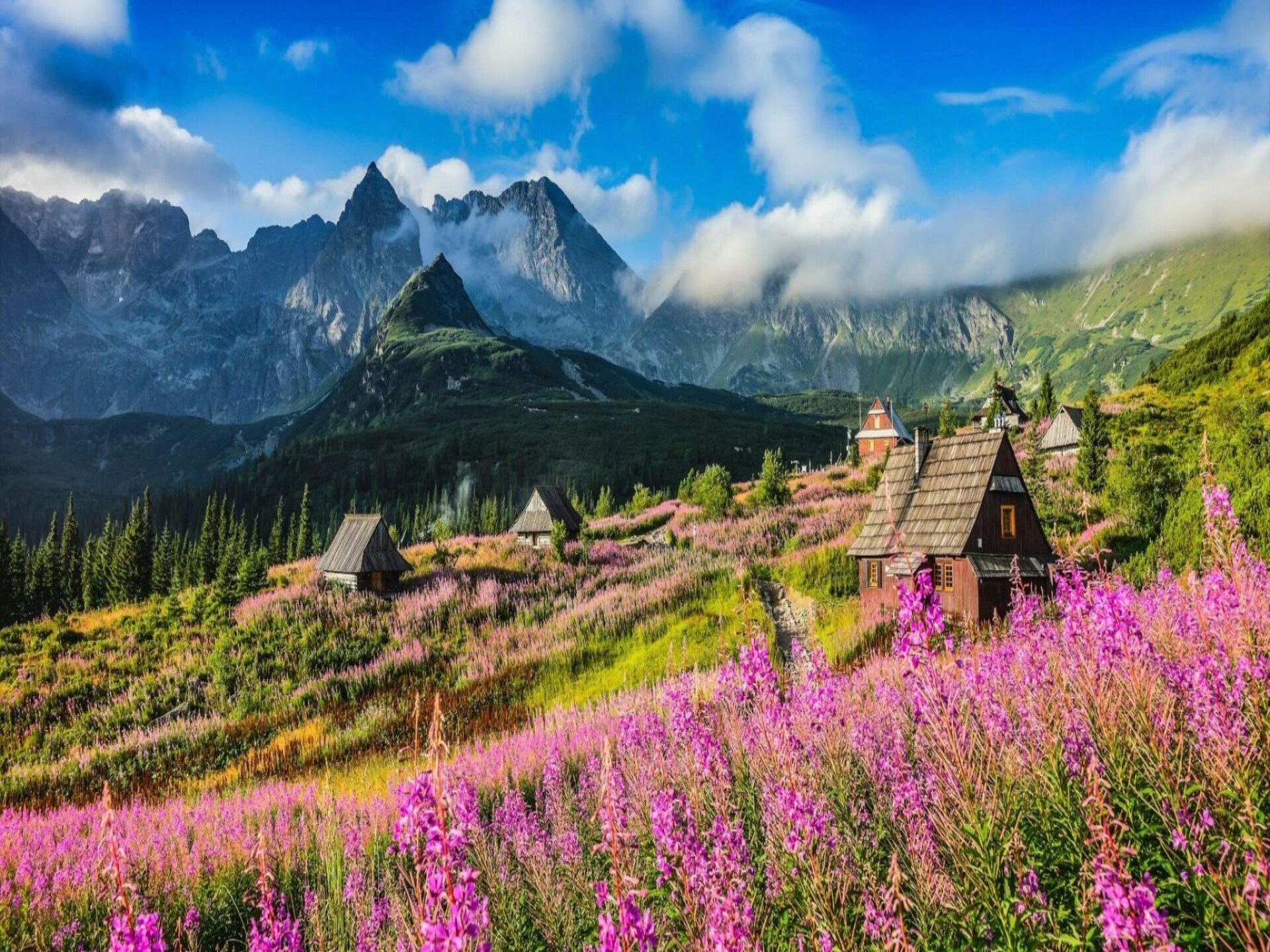 Ruim vakantiehuis Tatra Wood House 1 in Zakopane voor 8 personen - foto 14