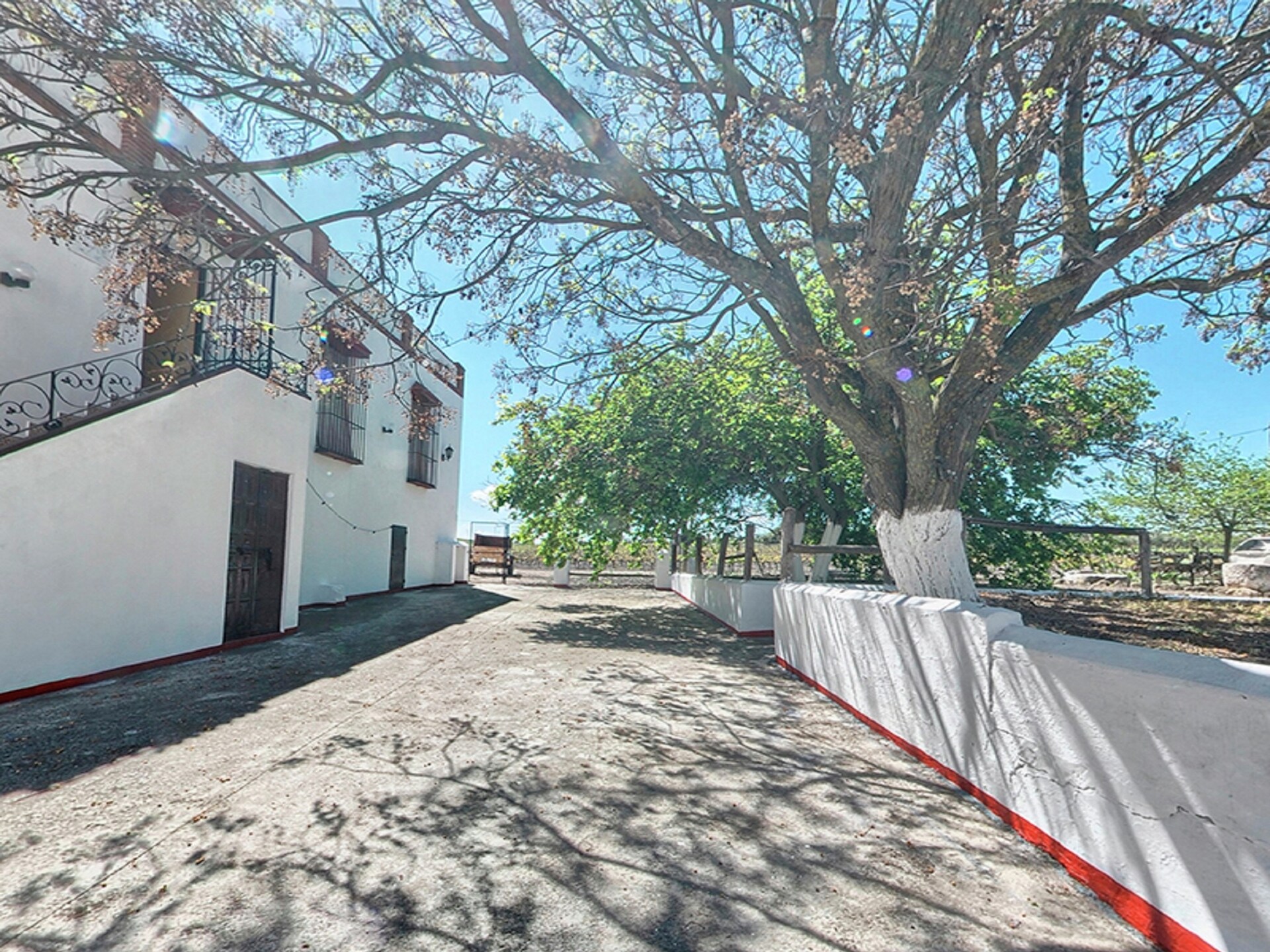 Authentiek Andalusisch landhuis voor 9 personen in de bossen bij Moriles - foto 4