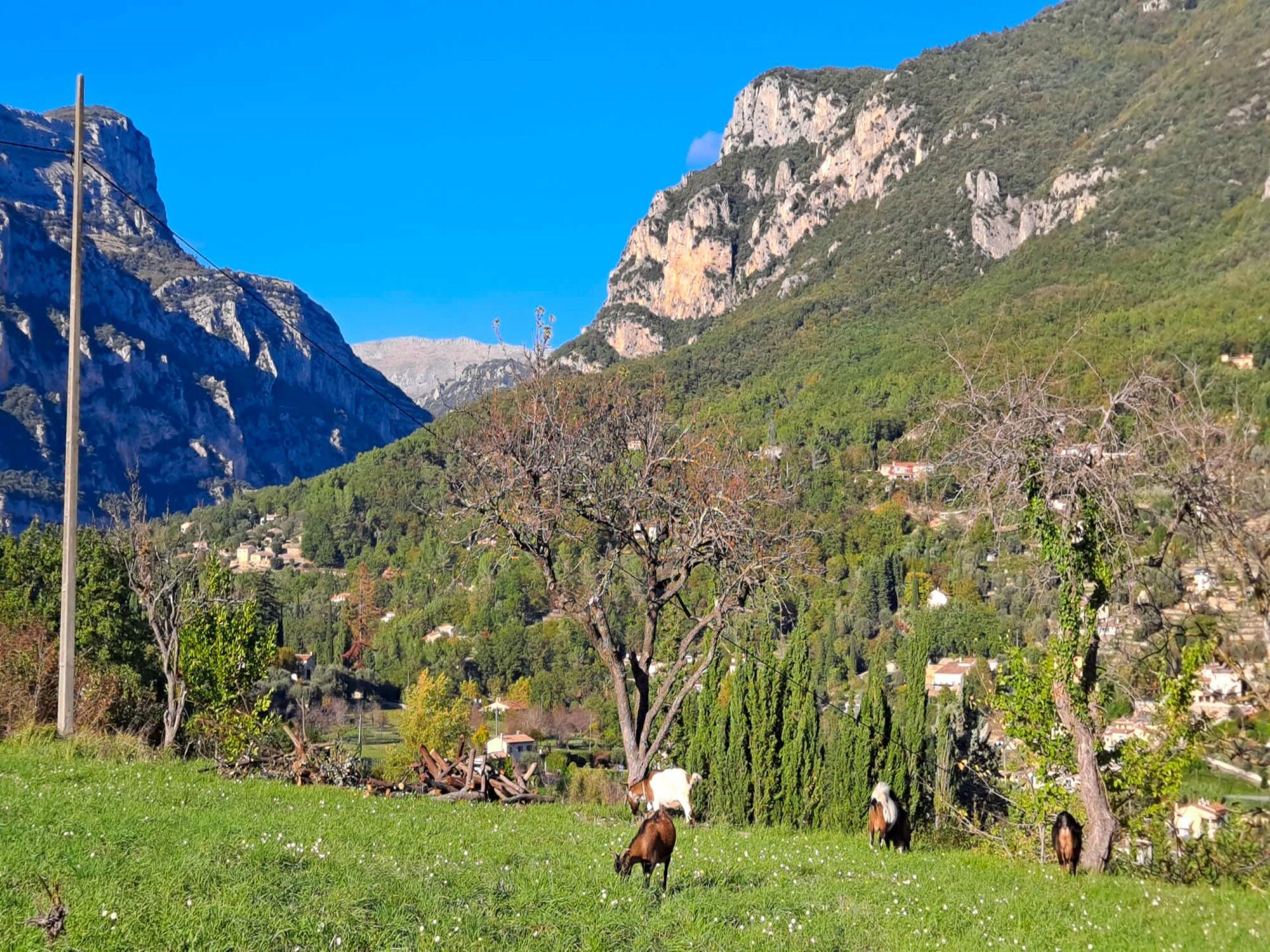 Vrijstaande villa met privétuin op 17 km van de Côte d'Azur - foto 19