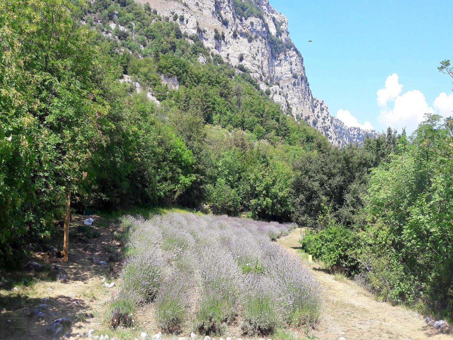 Vrijstaande villa met privétuin op 17 km van de Côte d'Azur - foto 23