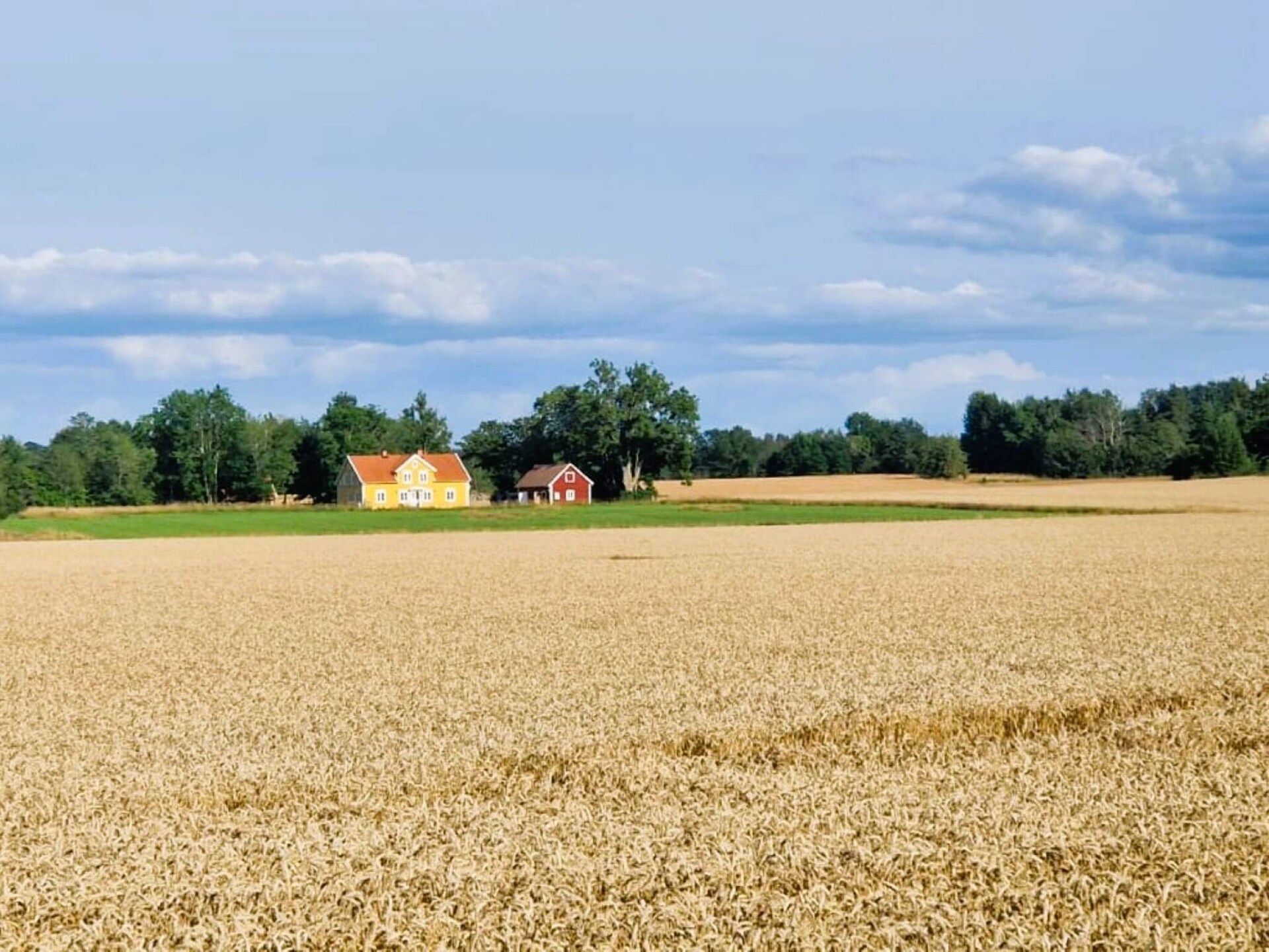 Ruim vakantiehuis voor 6 aan de golfbaan van Omberg in Östergötland - foto 5