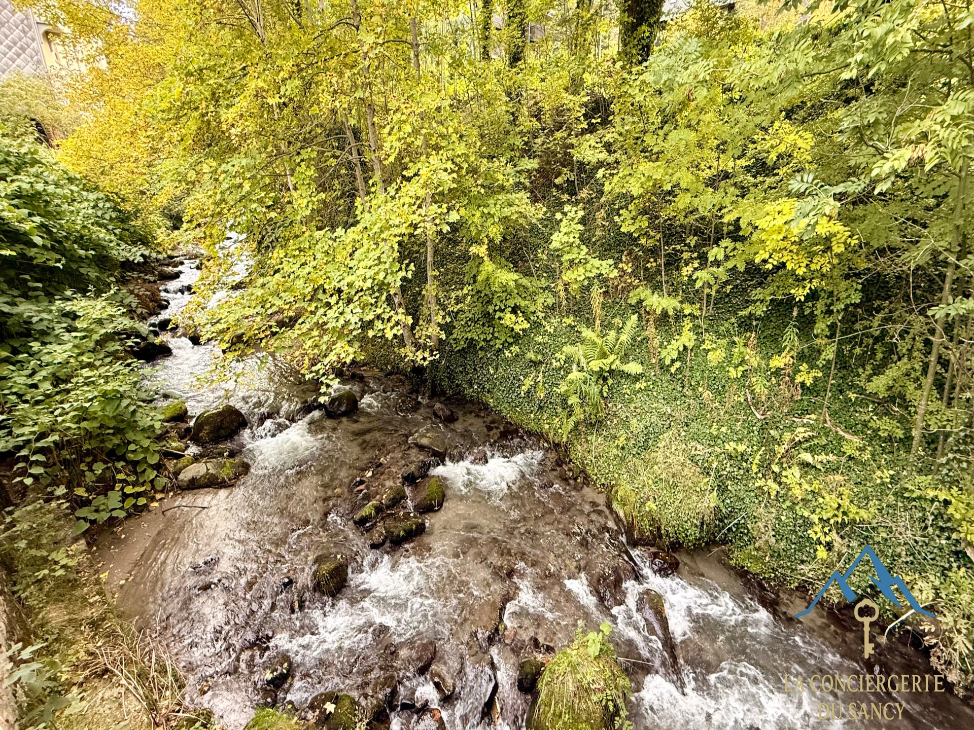 Romantisch appartement aan de Dordogne in Mont-Dore, direct aan de golfbaan - foto 20