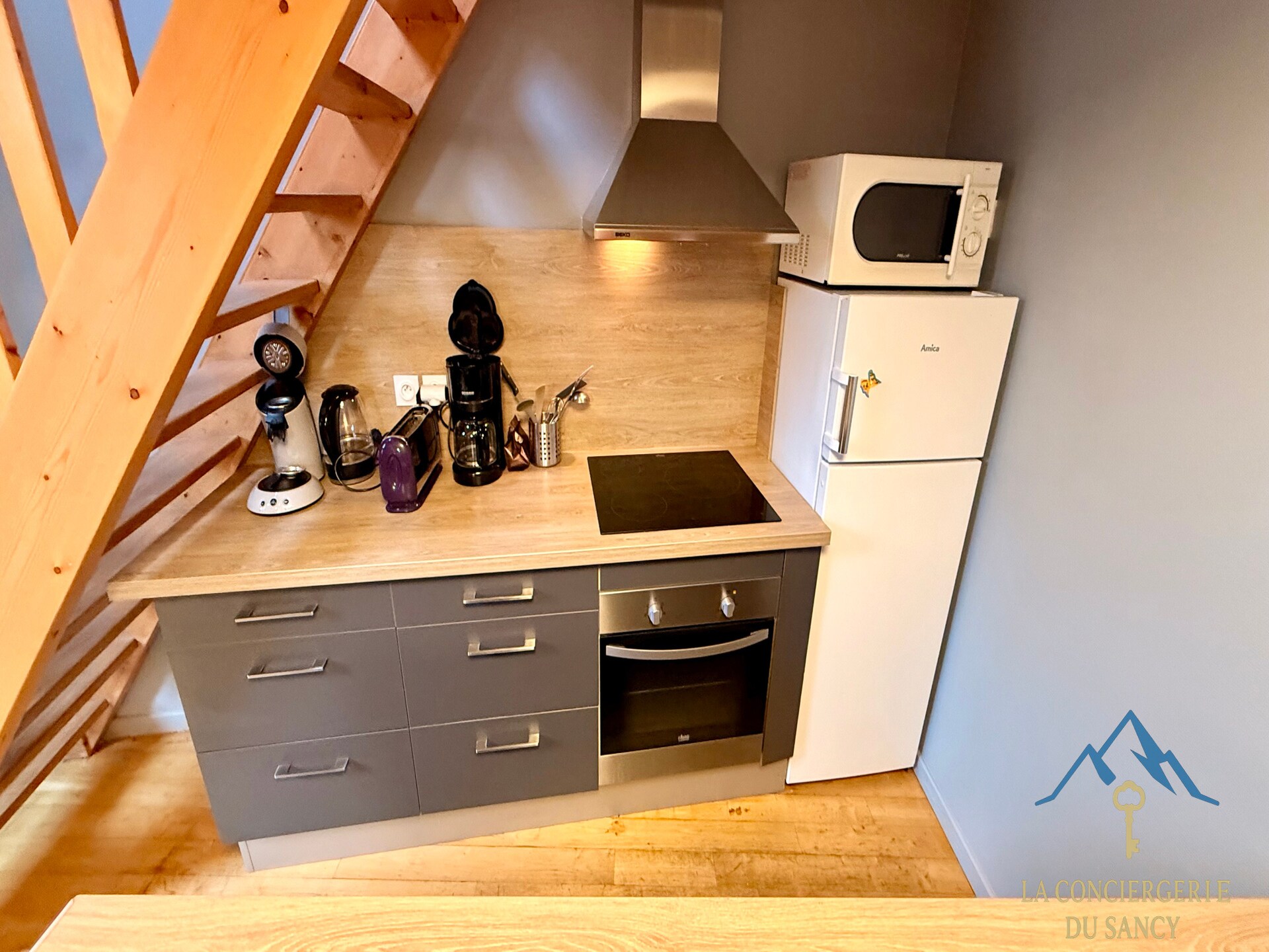 Landhuis La Grange BOREL voor 12 personen in het Sancy-massief - foto 4