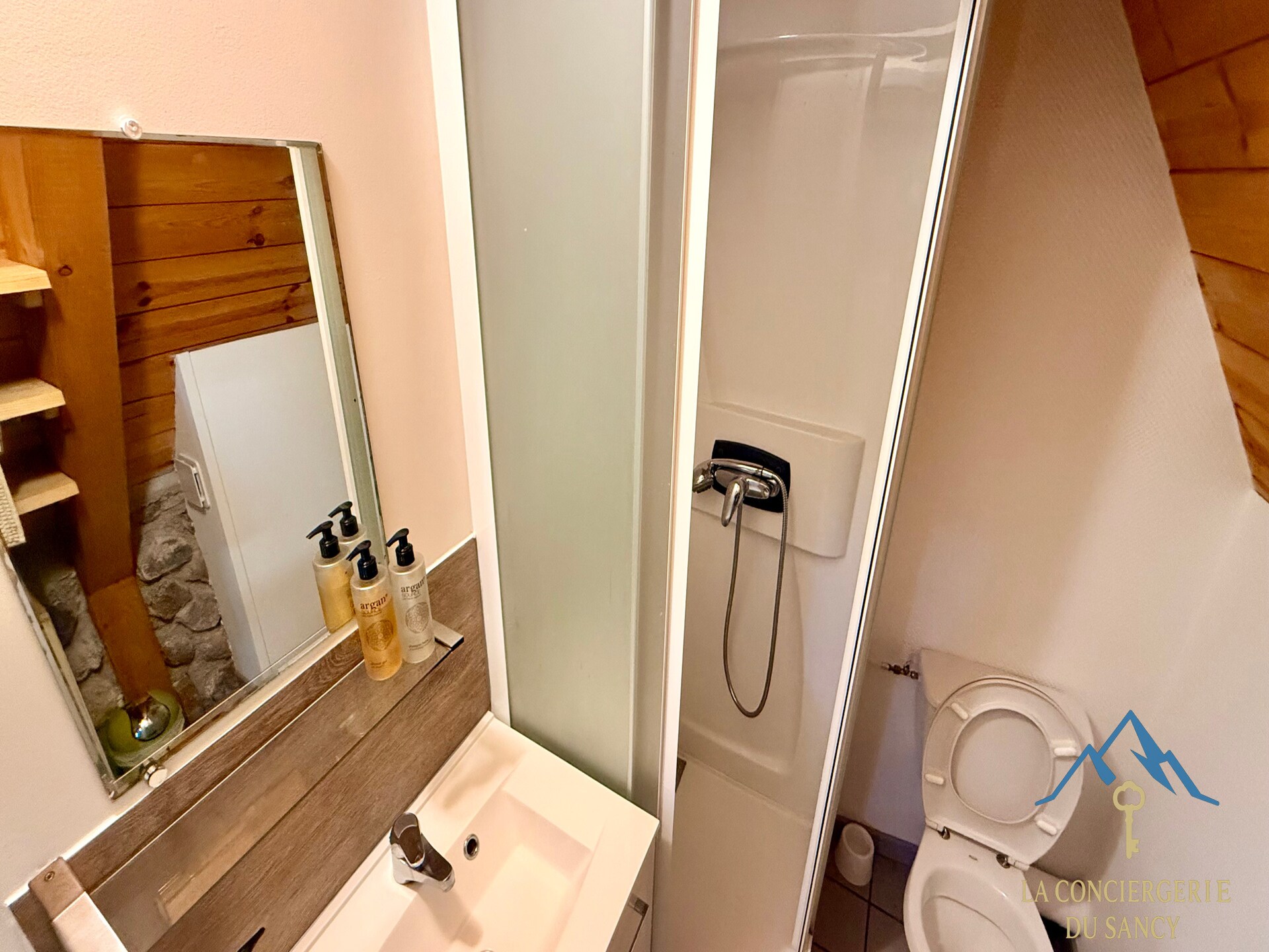 Landhuis La Grange BOREL voor 12 personen in het Sancy-massief - foto 30