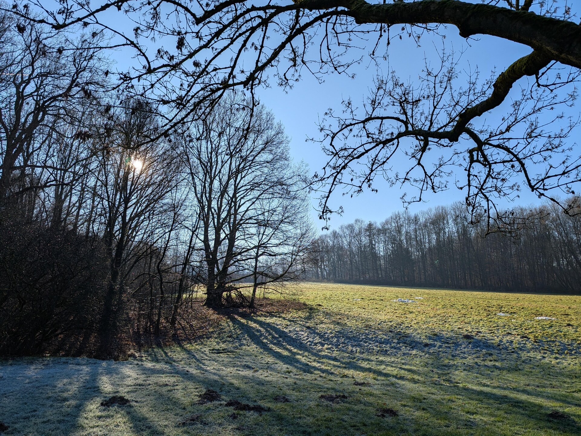 Koninklijk overnachten aan de bosrand met uitzicht over Bielefeld - foto 33