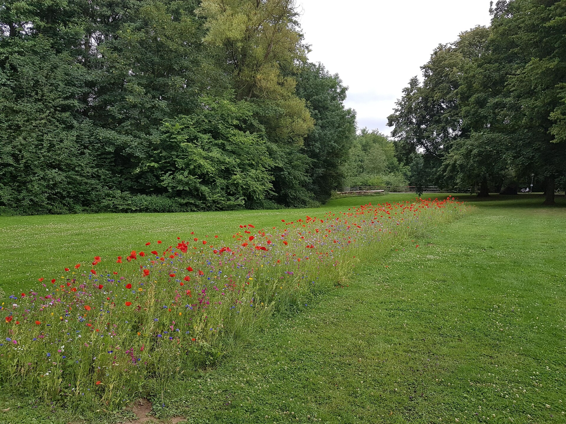 Koninklijk overnachten aan de bosrand met uitzicht over Bielefeld - foto 31