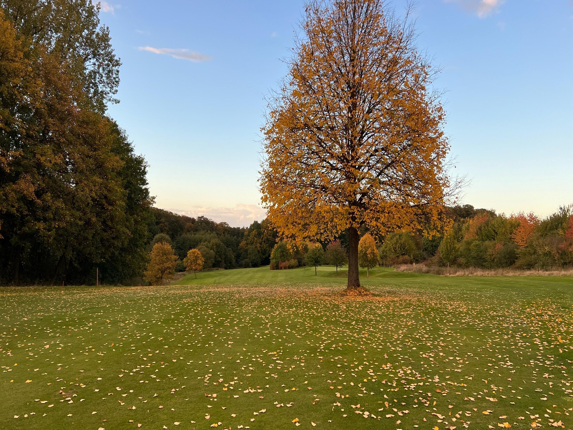 Comfortabel appartement met uitzicht op de tuin in Bielefeld - foto 32