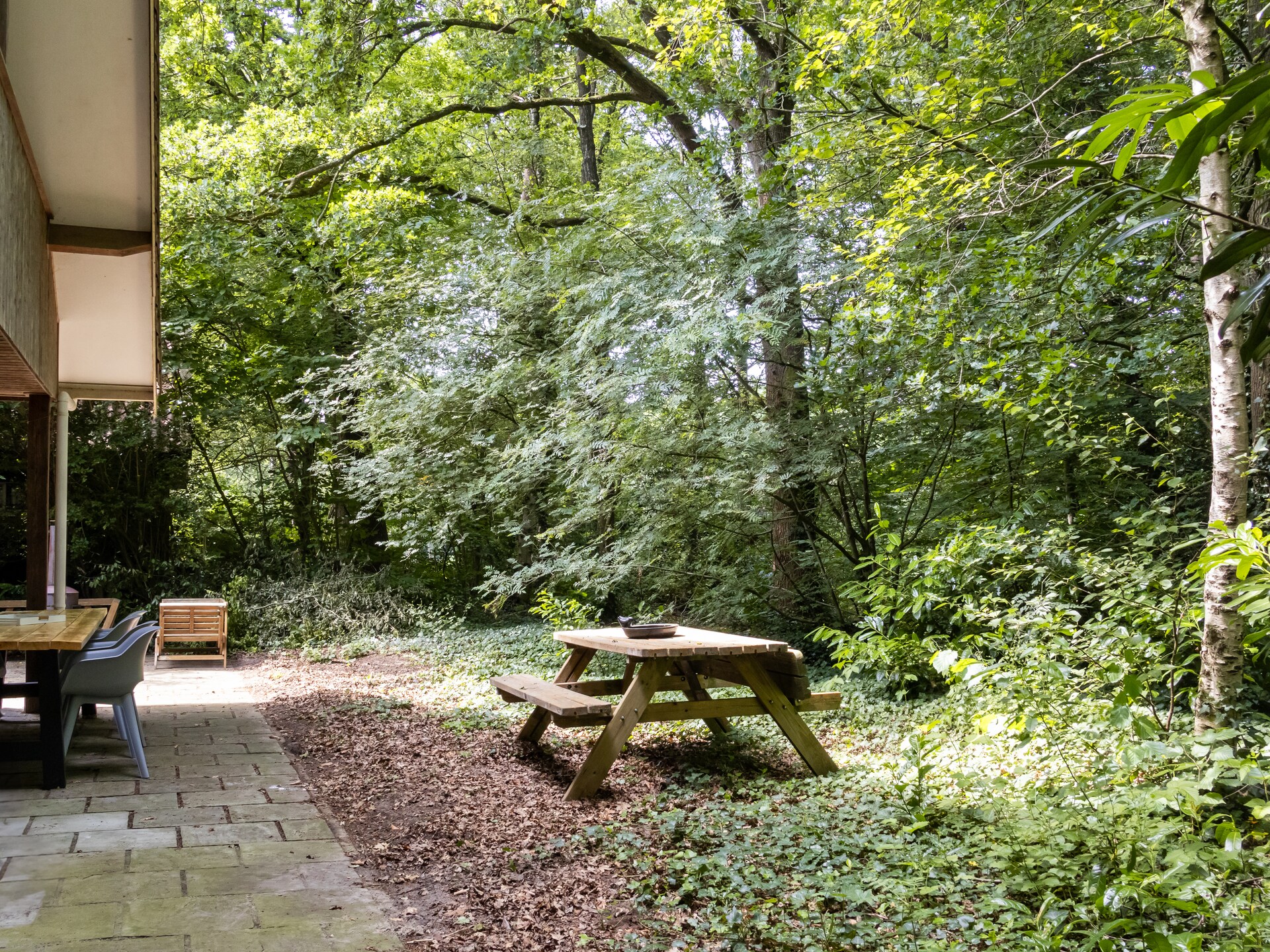 Vrijstaand huis in de bossen van Drenthe met wellness - foto 20