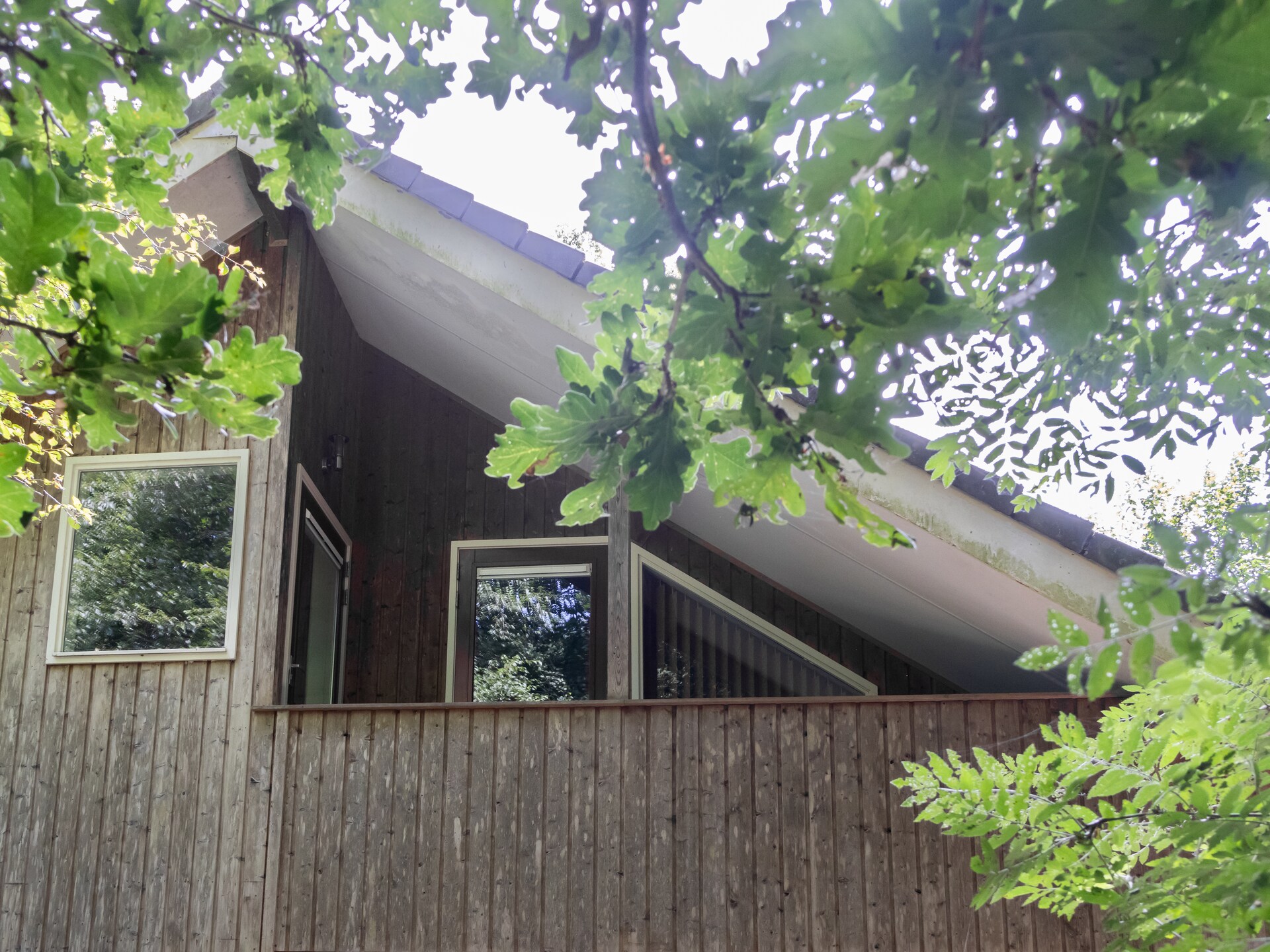 Vrijstaand huis in de bossen van Drenthe met wellness - foto 22