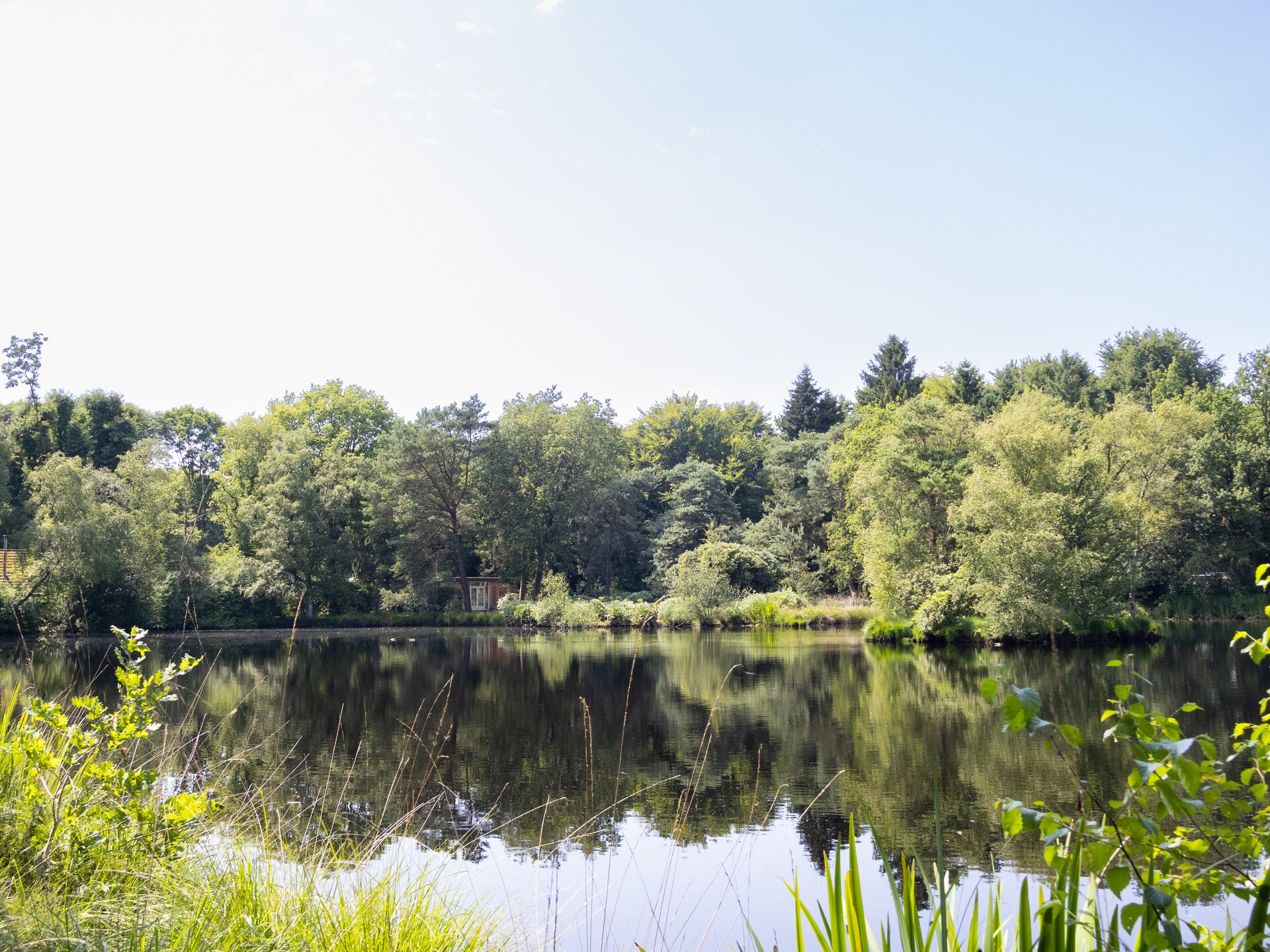 Vrijstaand huis in de bossen van Drenthe met wellness - foto 23