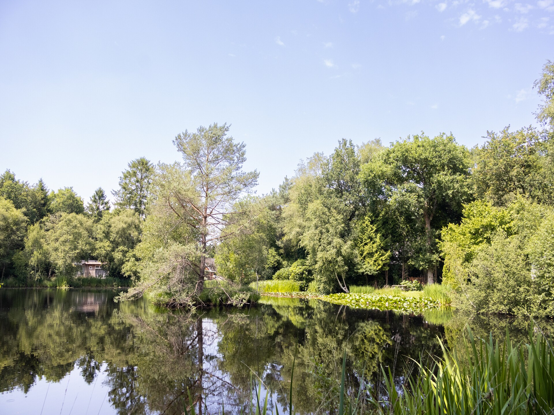 Vrijstaand huis in de bossen van Drenthe met wellness - foto 24