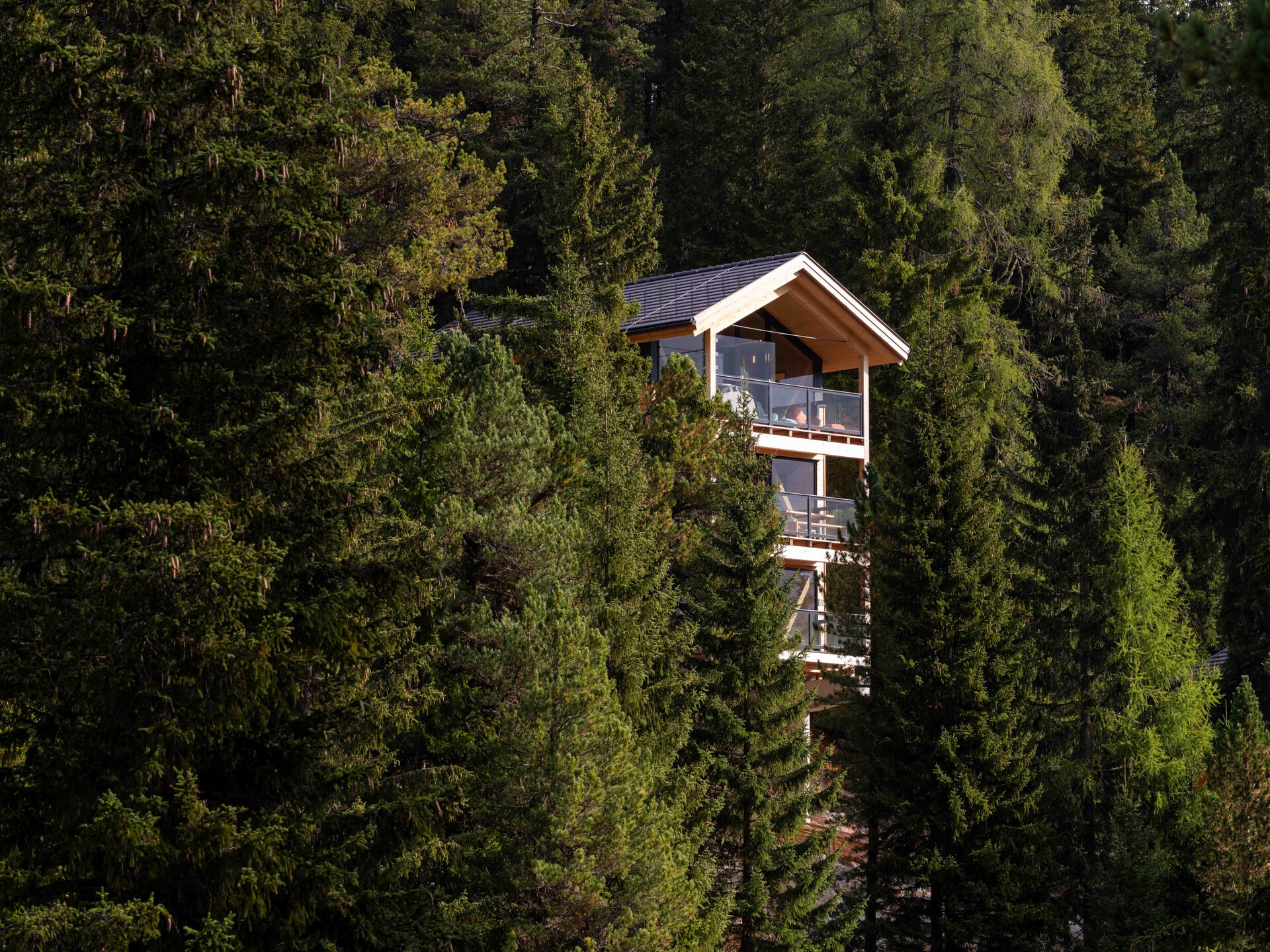 Naturchalet Turracher Höhe 32: Luxe chalet met panoramisch uitzicht voor 8 personen - foto 75